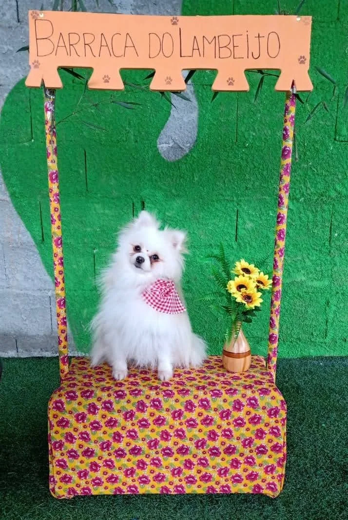 WhatsApp Image 2022-06-06 at 11.21.57.jpeg