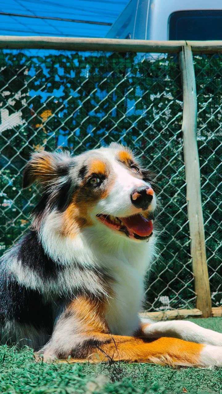 WhatsApp Image 2025-05-23 at 15.52.36.jpeg