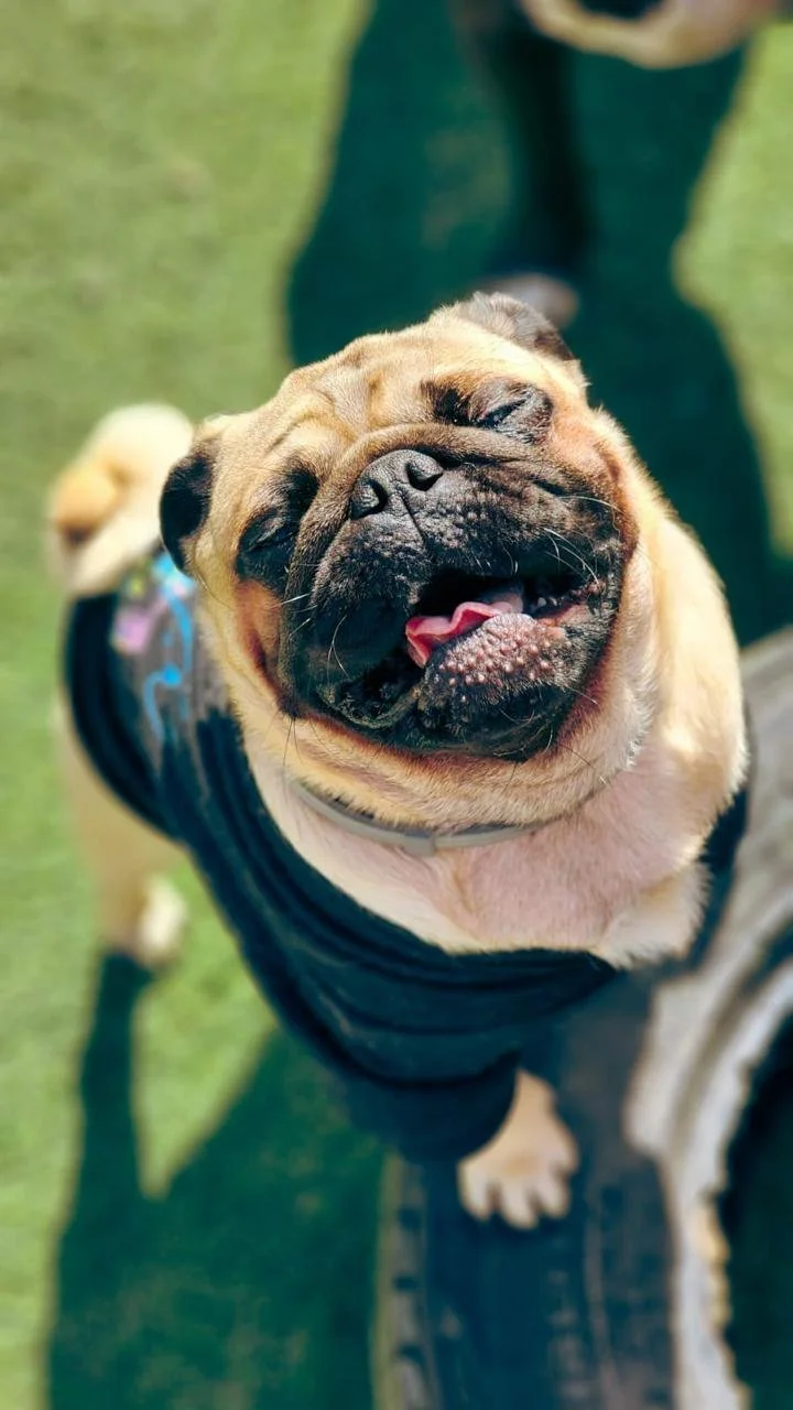 WhatsApp Image 2025-05-23 at 15.56.42 (3).jpeg