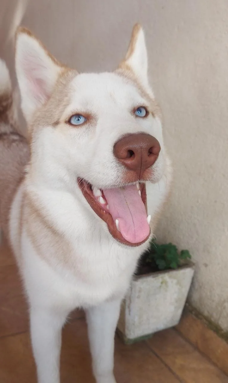 WhatsApp Image 2022-06-03 at 11.05.04.jpeg