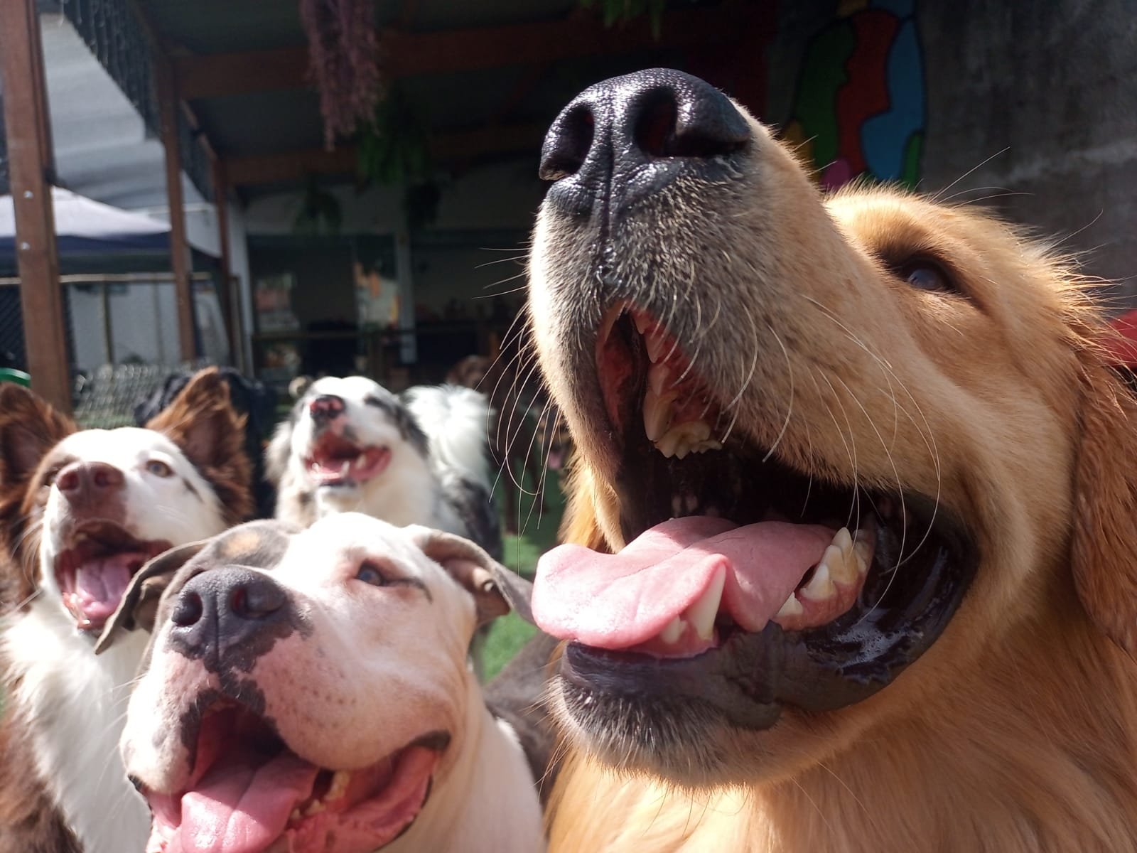 WhatsApp Image 2022-03-24 at 14.32.18 (1).jpeg