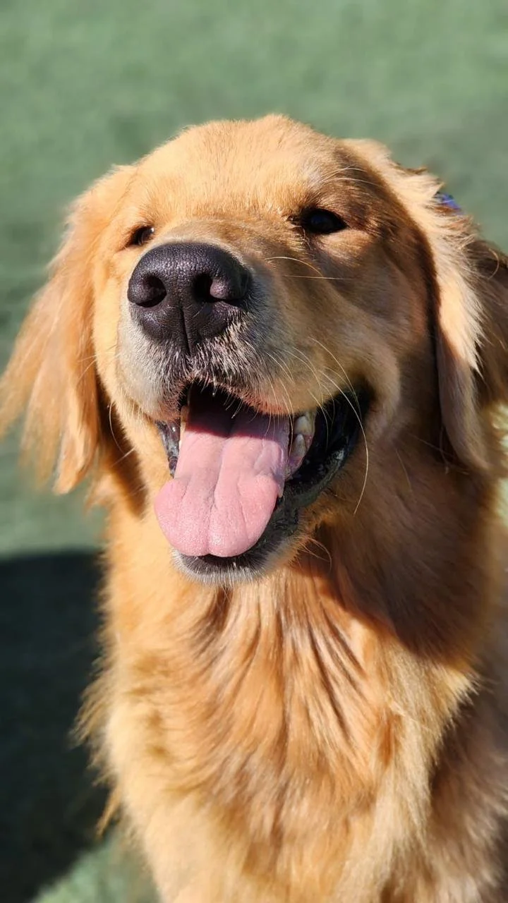 WhatsApp Image 2025-05-23 at 15.56.42.jpeg