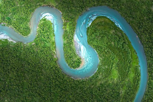 THE RIVER OF LIFE