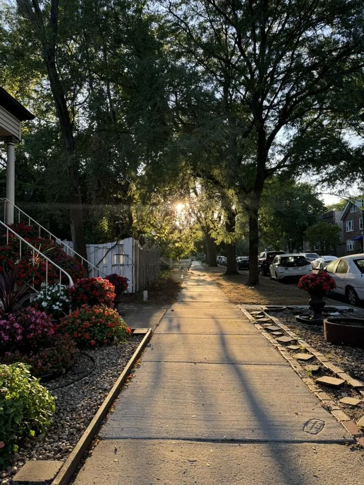 Tree lined street at sundown in Bowmanville.