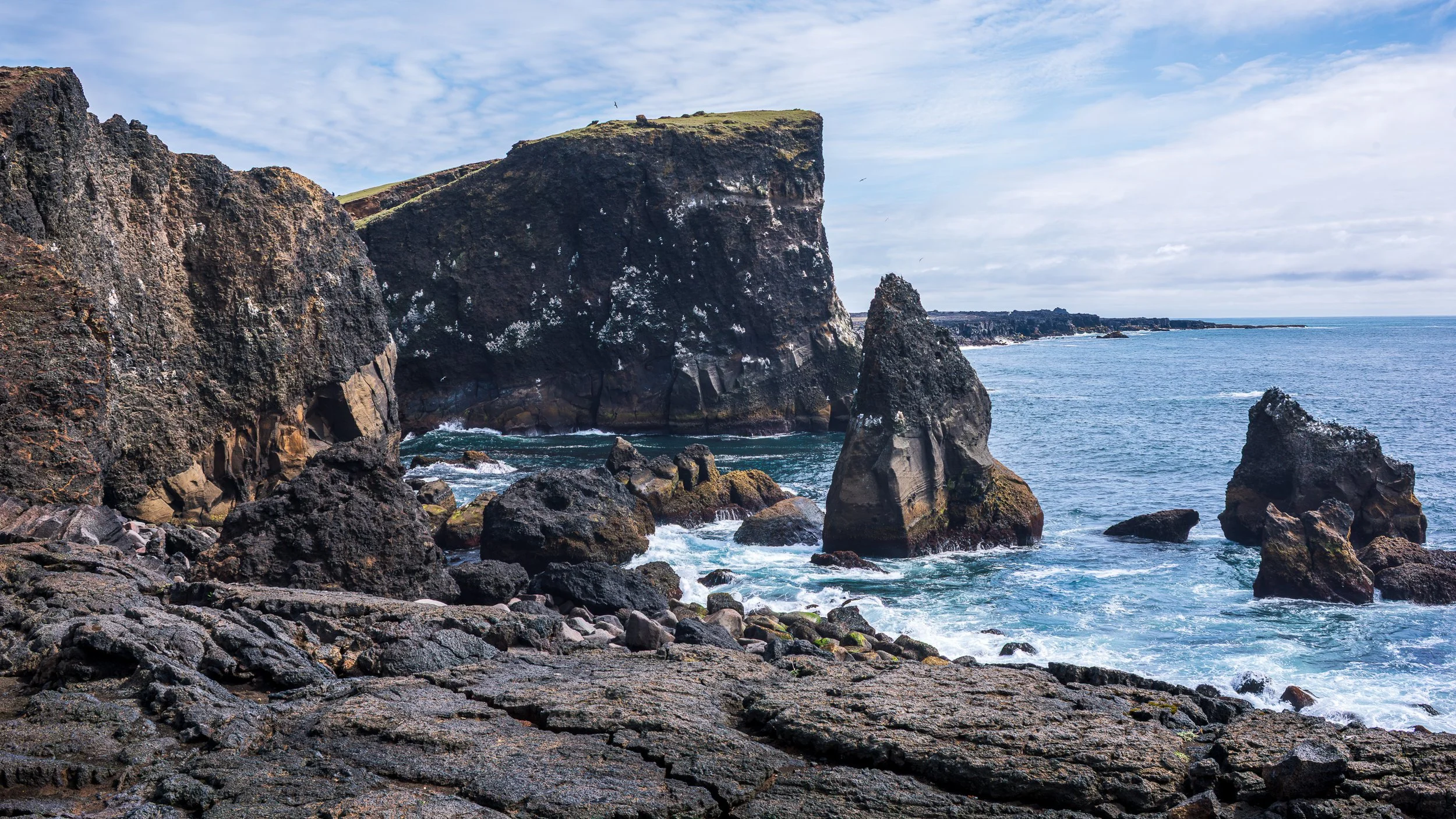 Hafnarberg Sea Cliffs | C25-0028