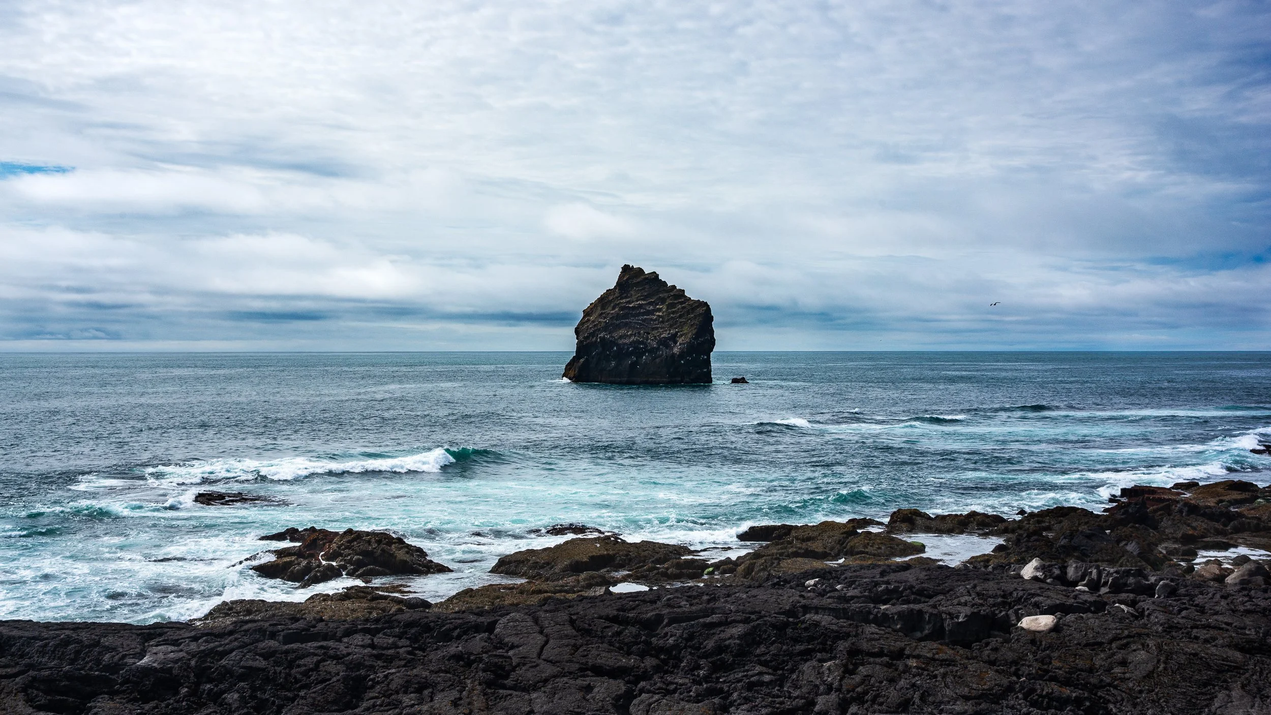 Sea Stack near Hafnarberg Sea Cliffs | C25-0027