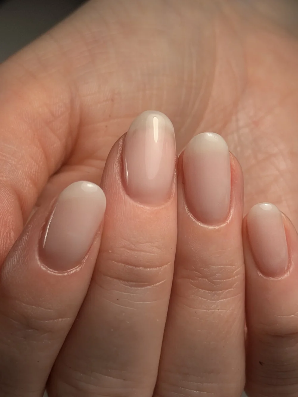 Hard Gel Course work by Bailey