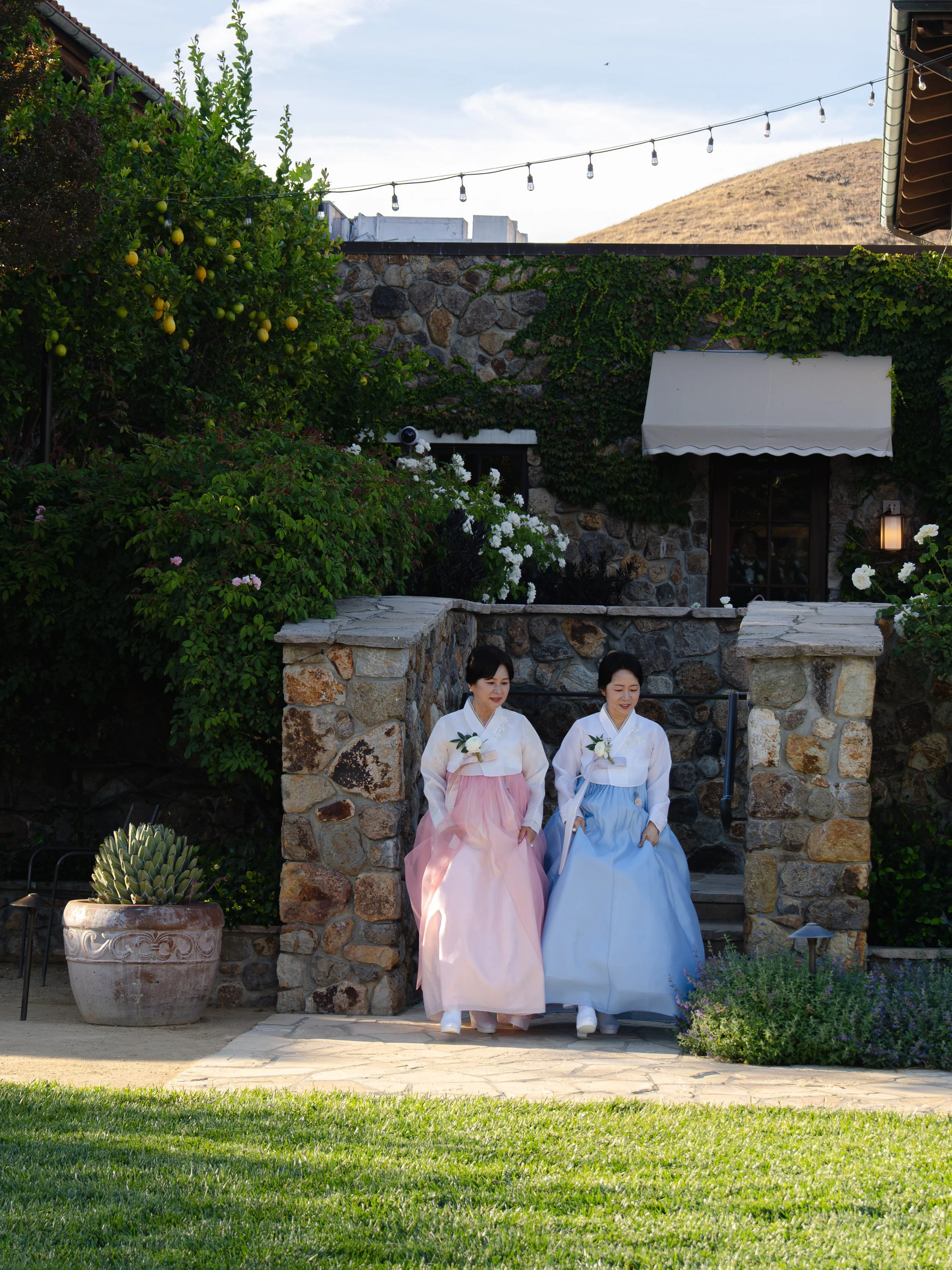 DSC06225.jpg