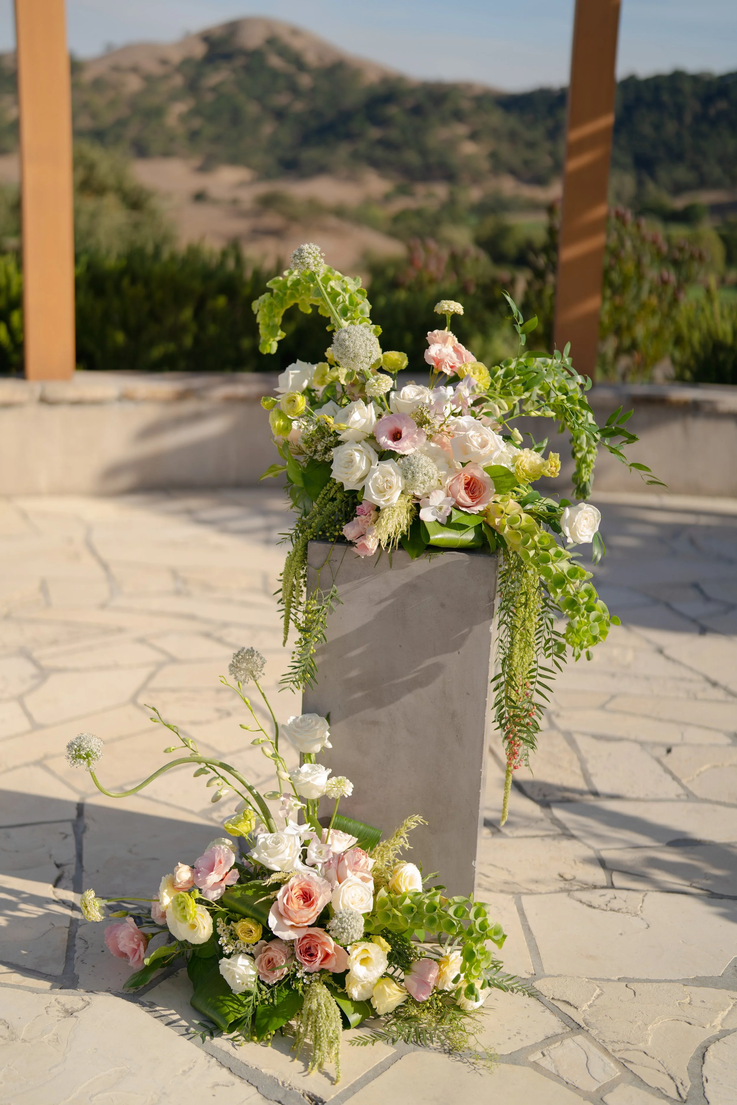 DSC05828-Edit.jpg