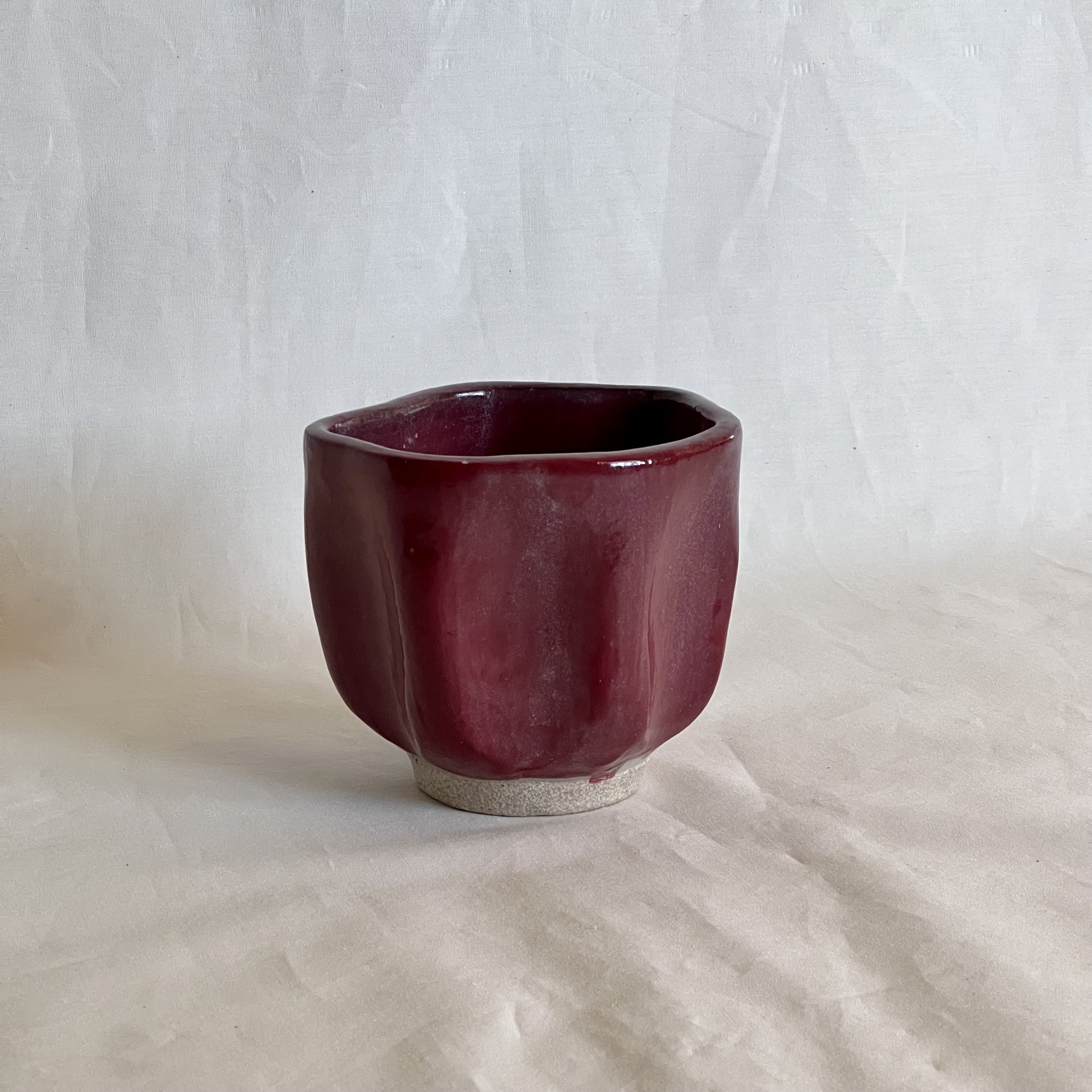 Cup 𓇼 Mira 3