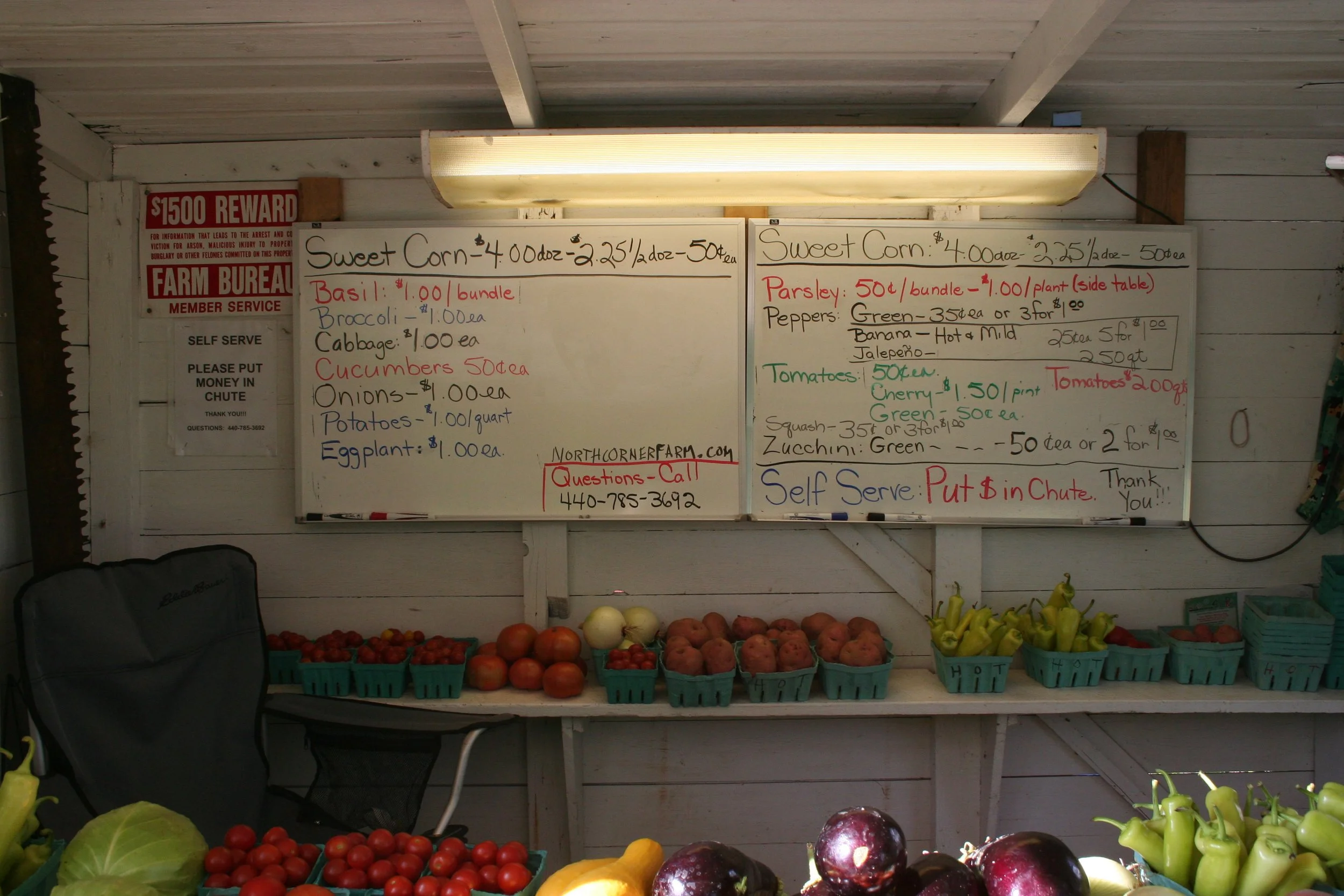 NCF-Veggies 004.jpg