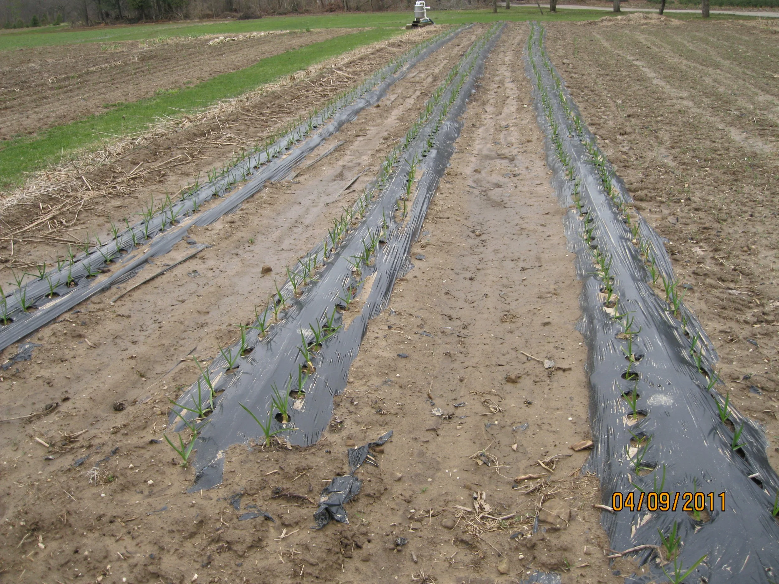 April-2011 006.jpg
