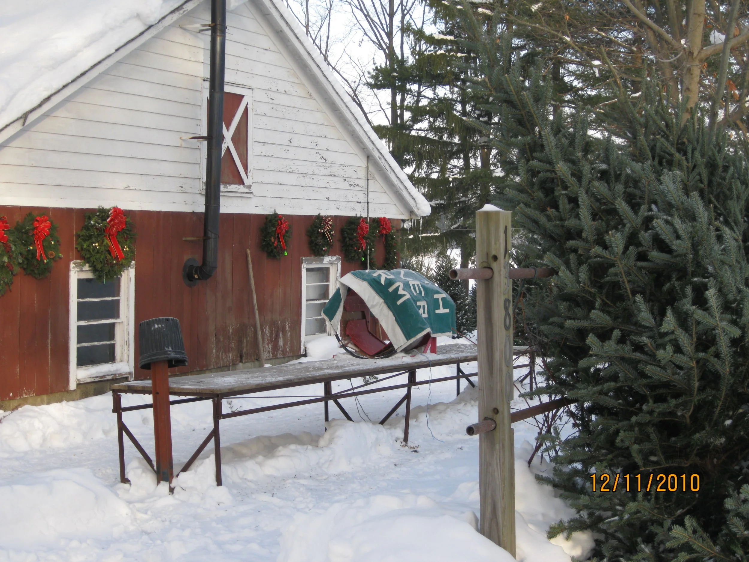 Dec2010-Christmas 055.jpg
