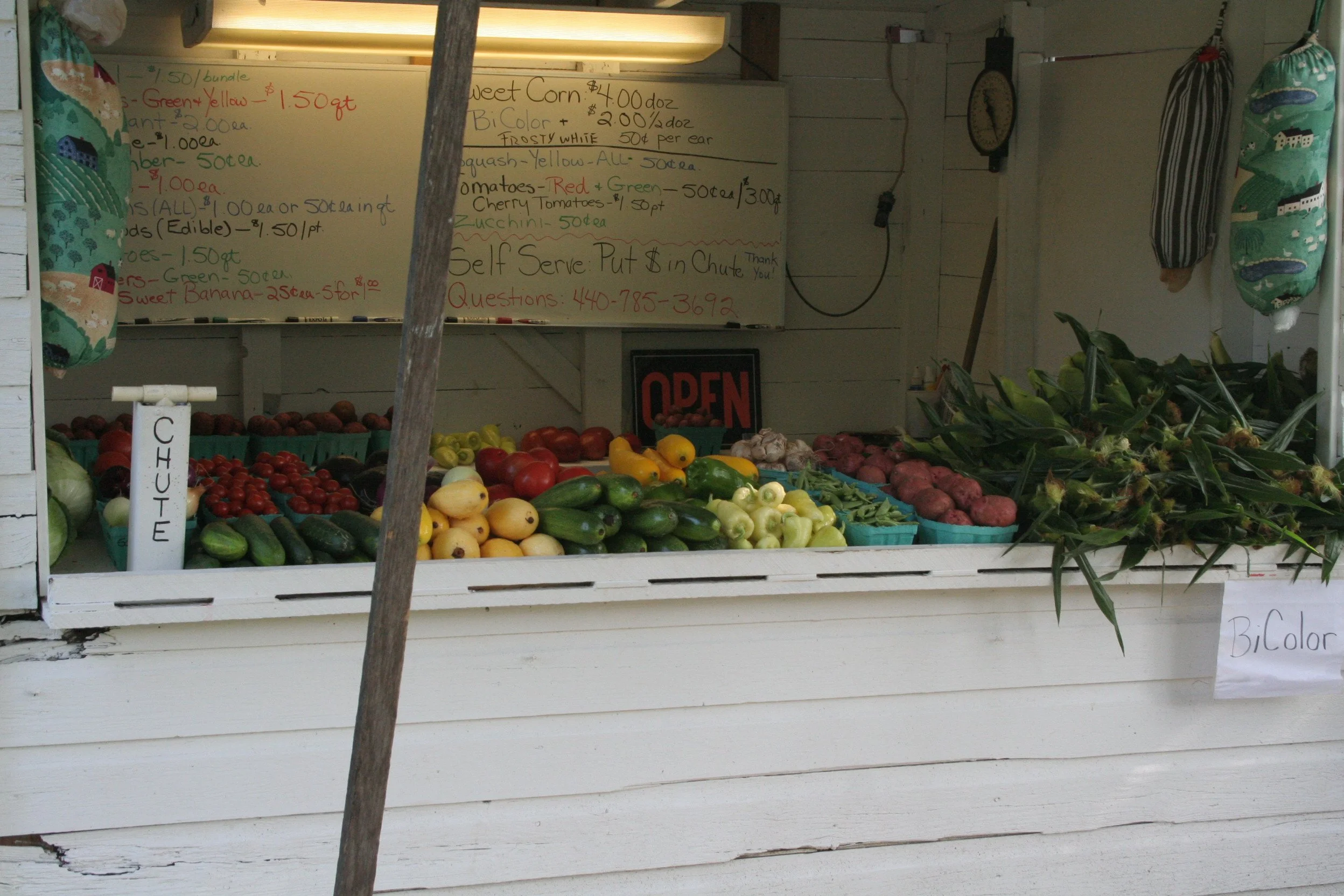 NCF-Produce-2010 005.jpg
