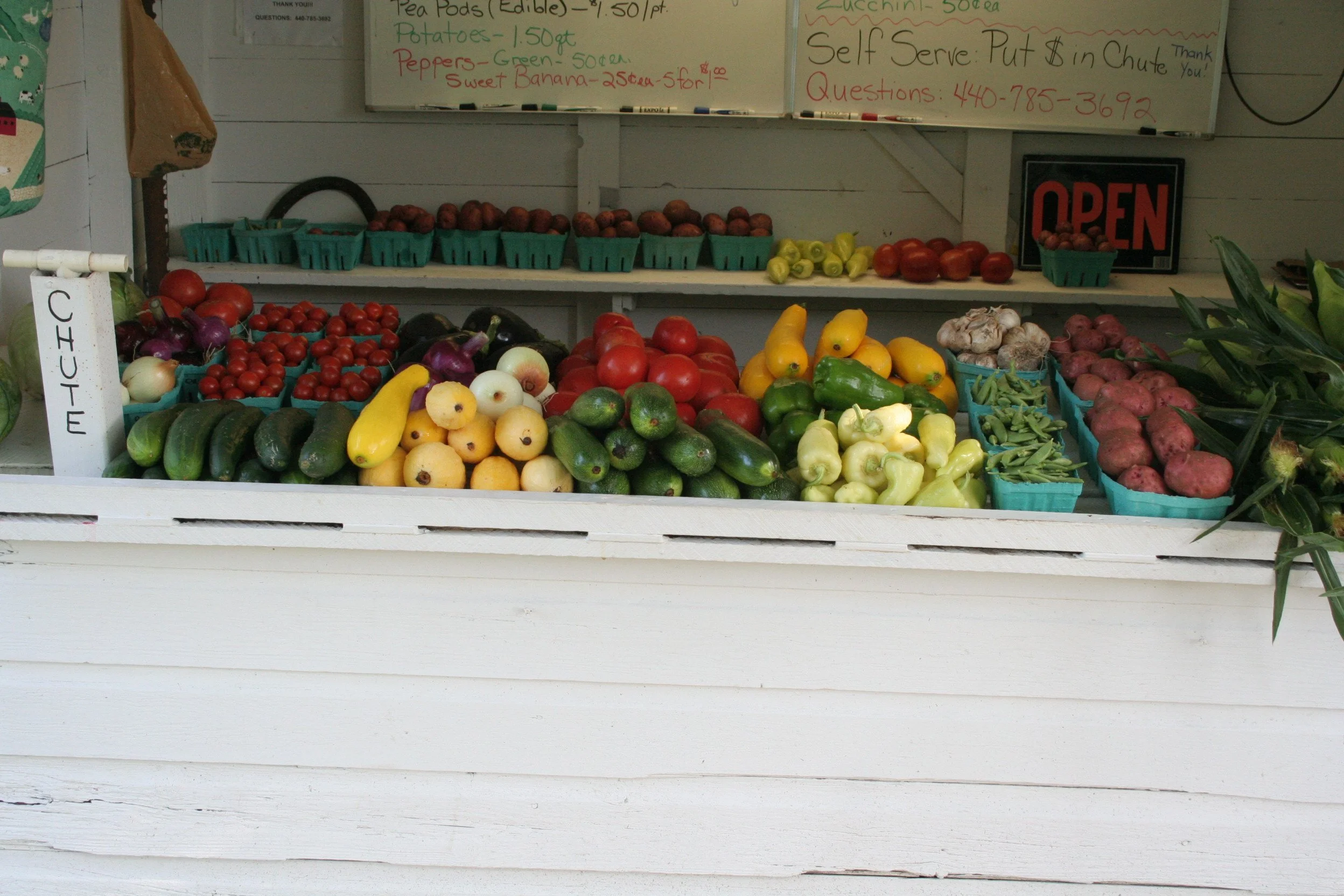 NCF-Produce-2010 006.jpg