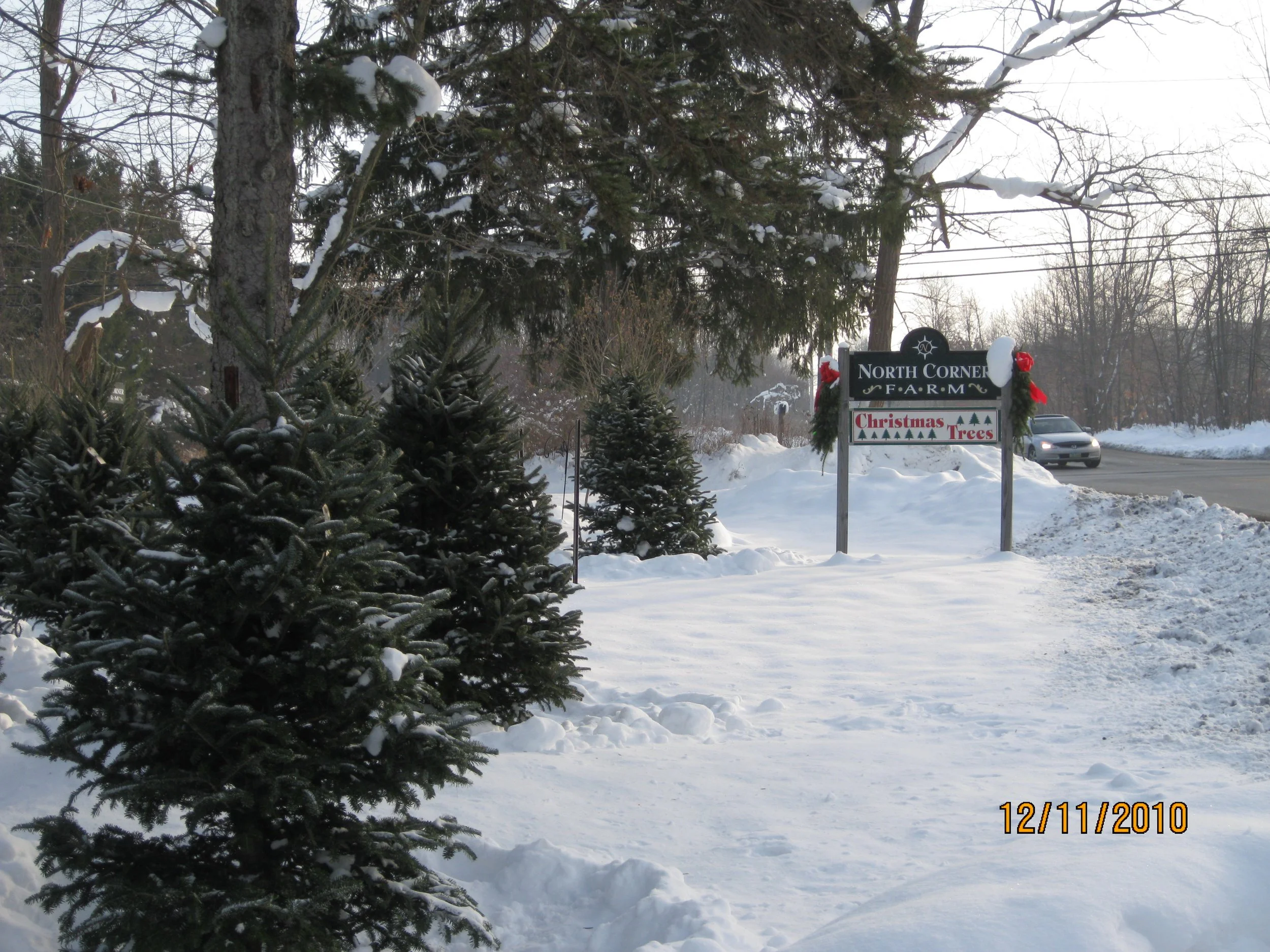 Dec2010-Christmas 053.jpg