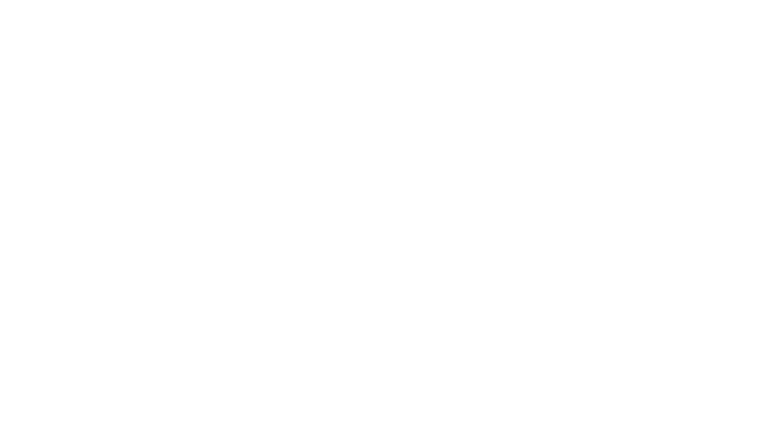 Sleeve Logo American Flag Rooster.png