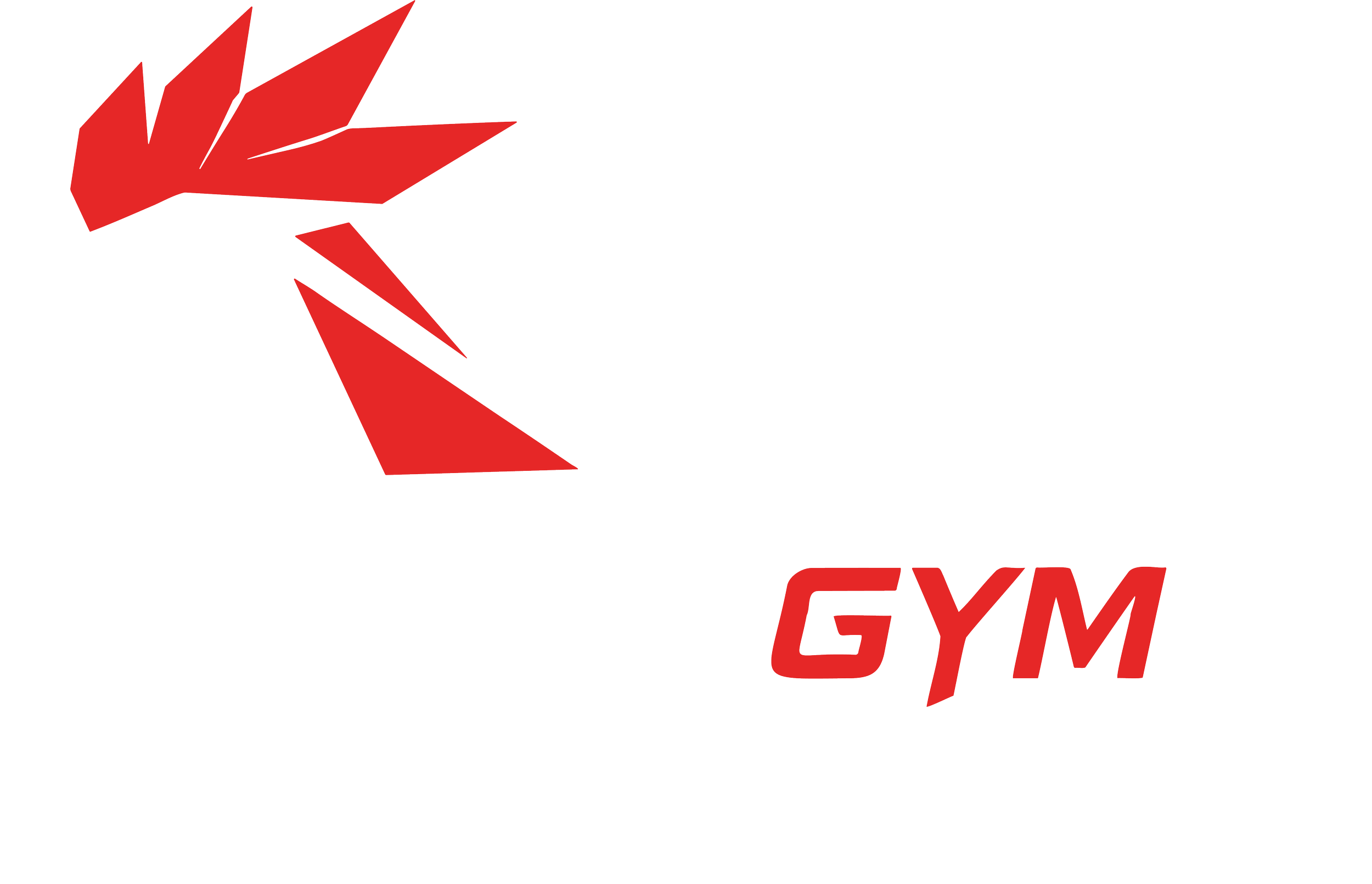 Gym Rooster Front (Red Rooster).png