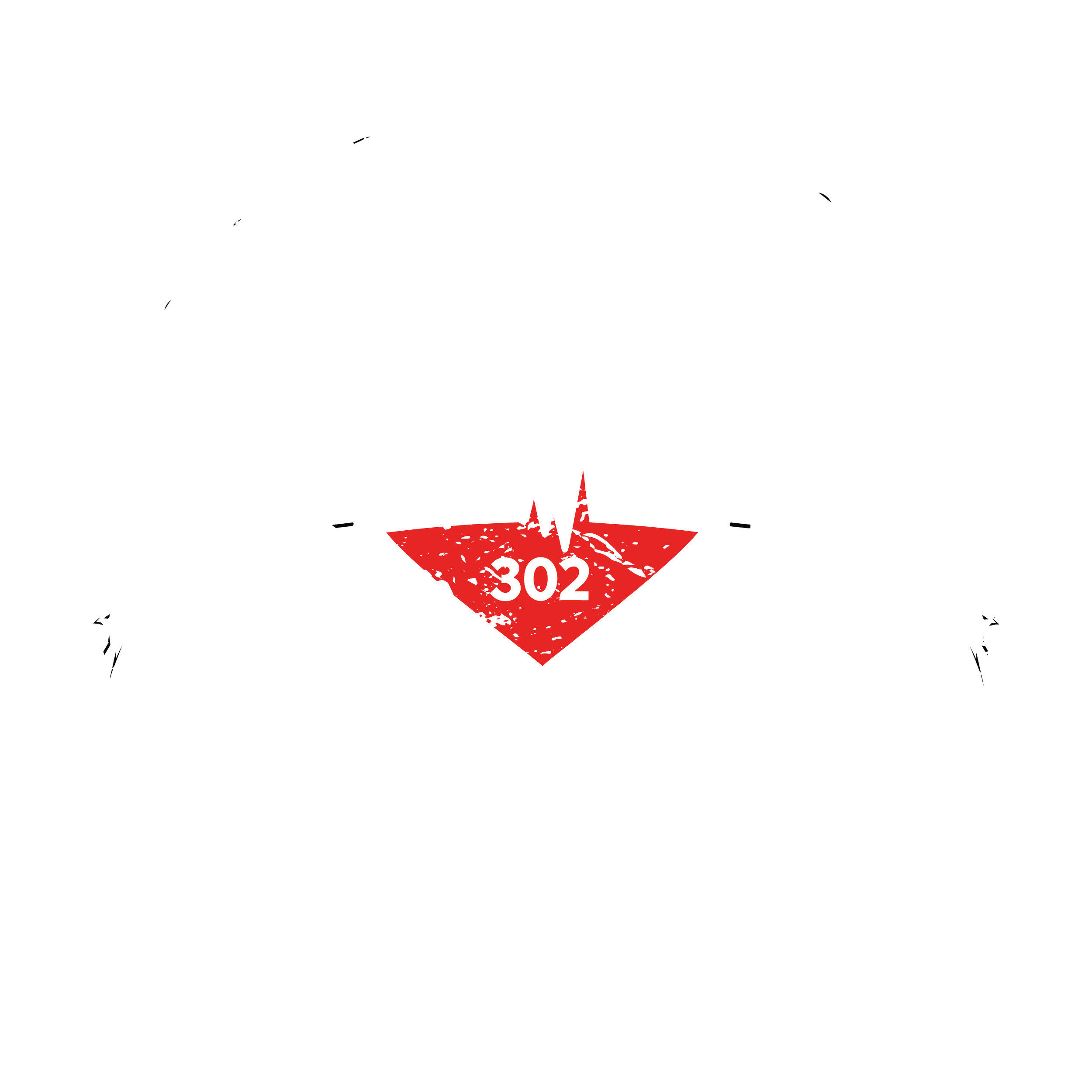 DISCIPLINE OVER MOTIVATION – 302 EDITION