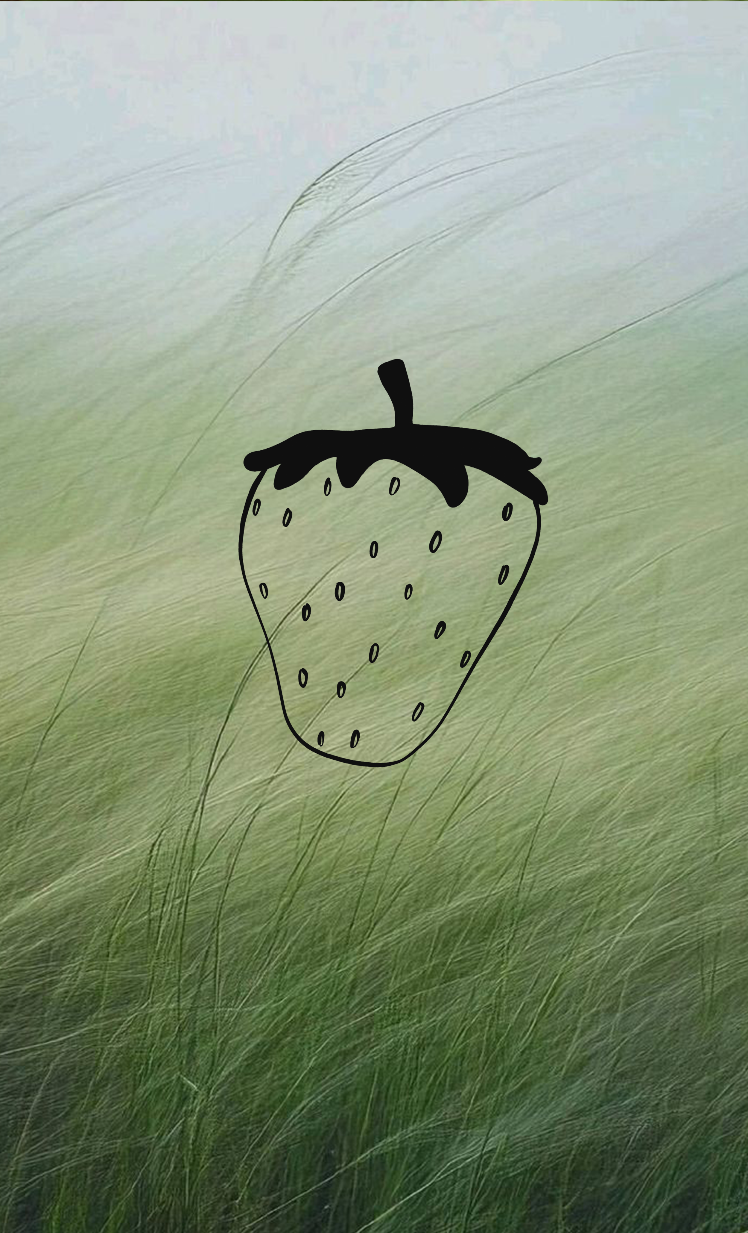 The Strawberry