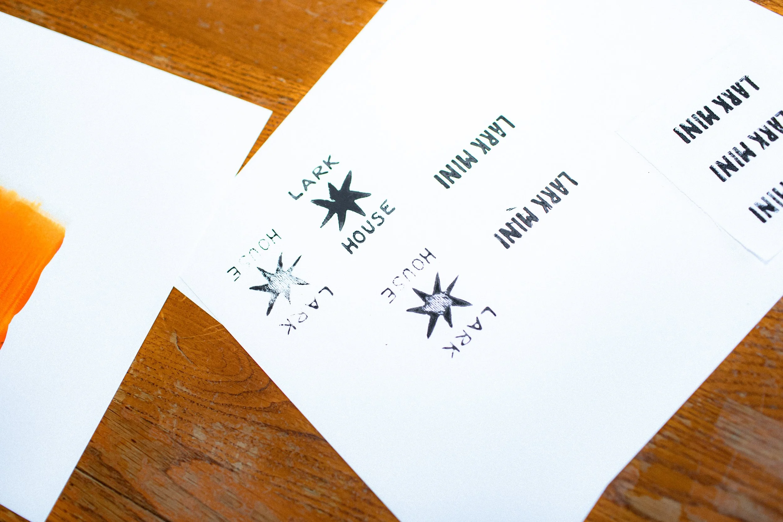 by demri rayanne-175.jpg