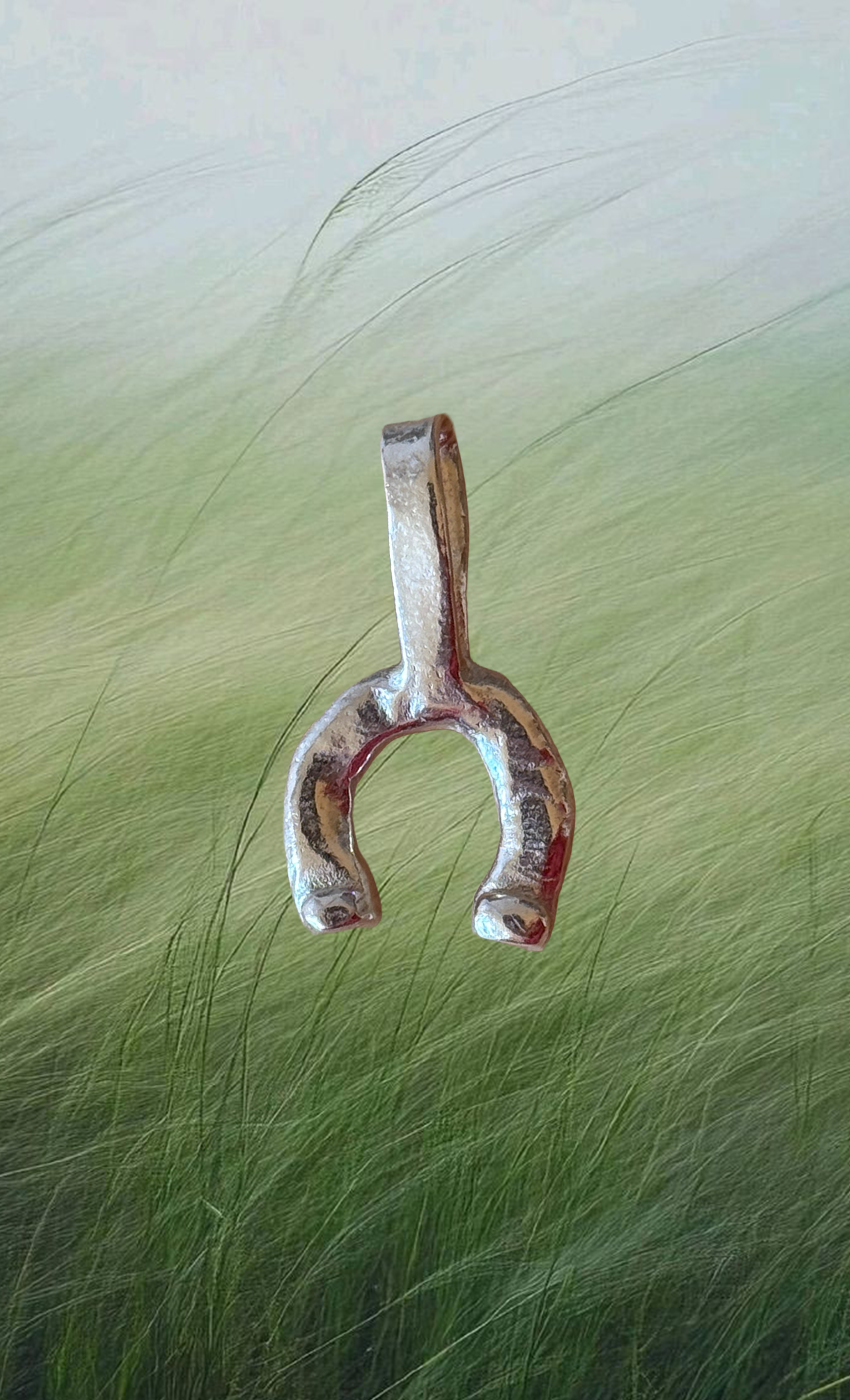 The Horseshoe