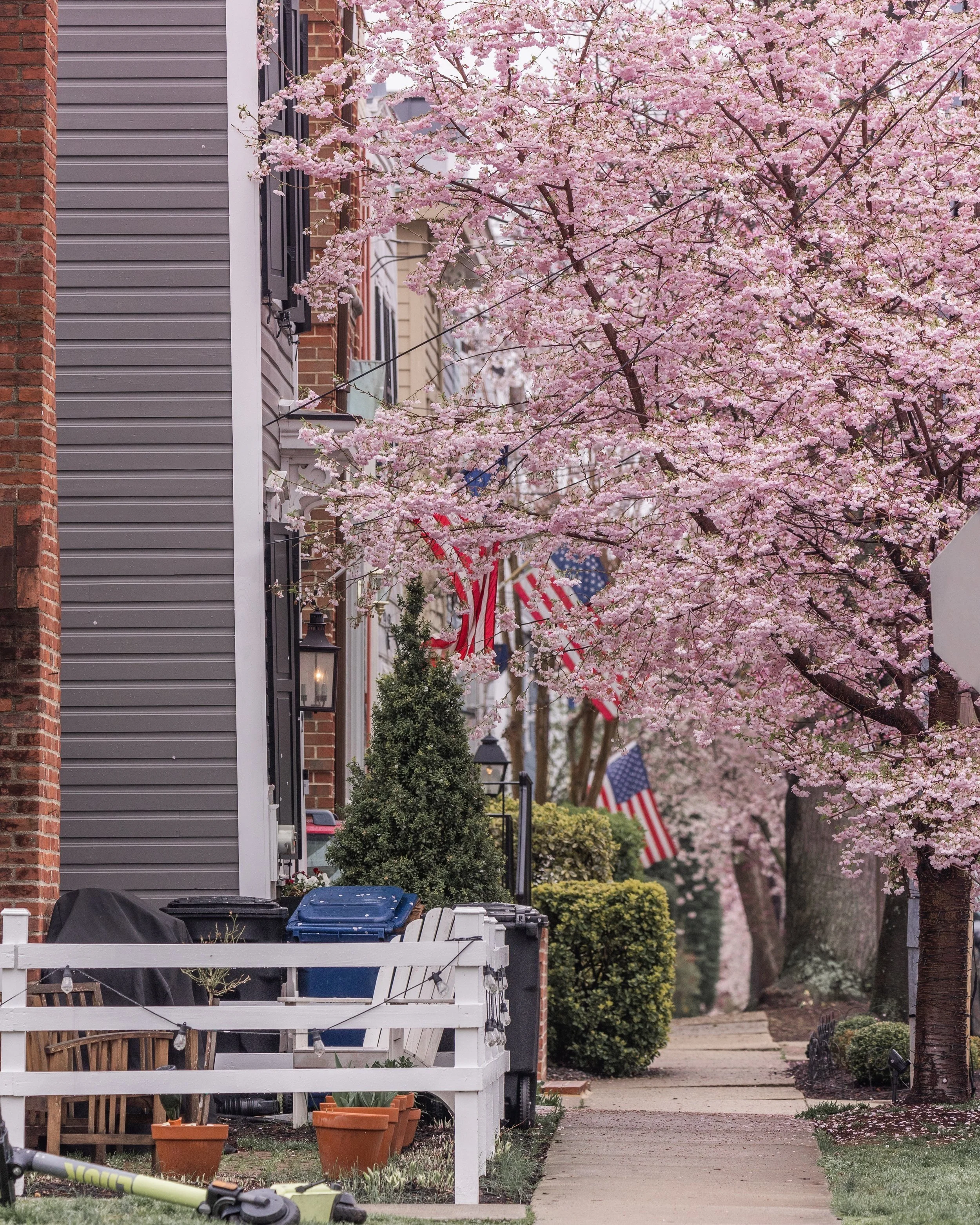 Virginia