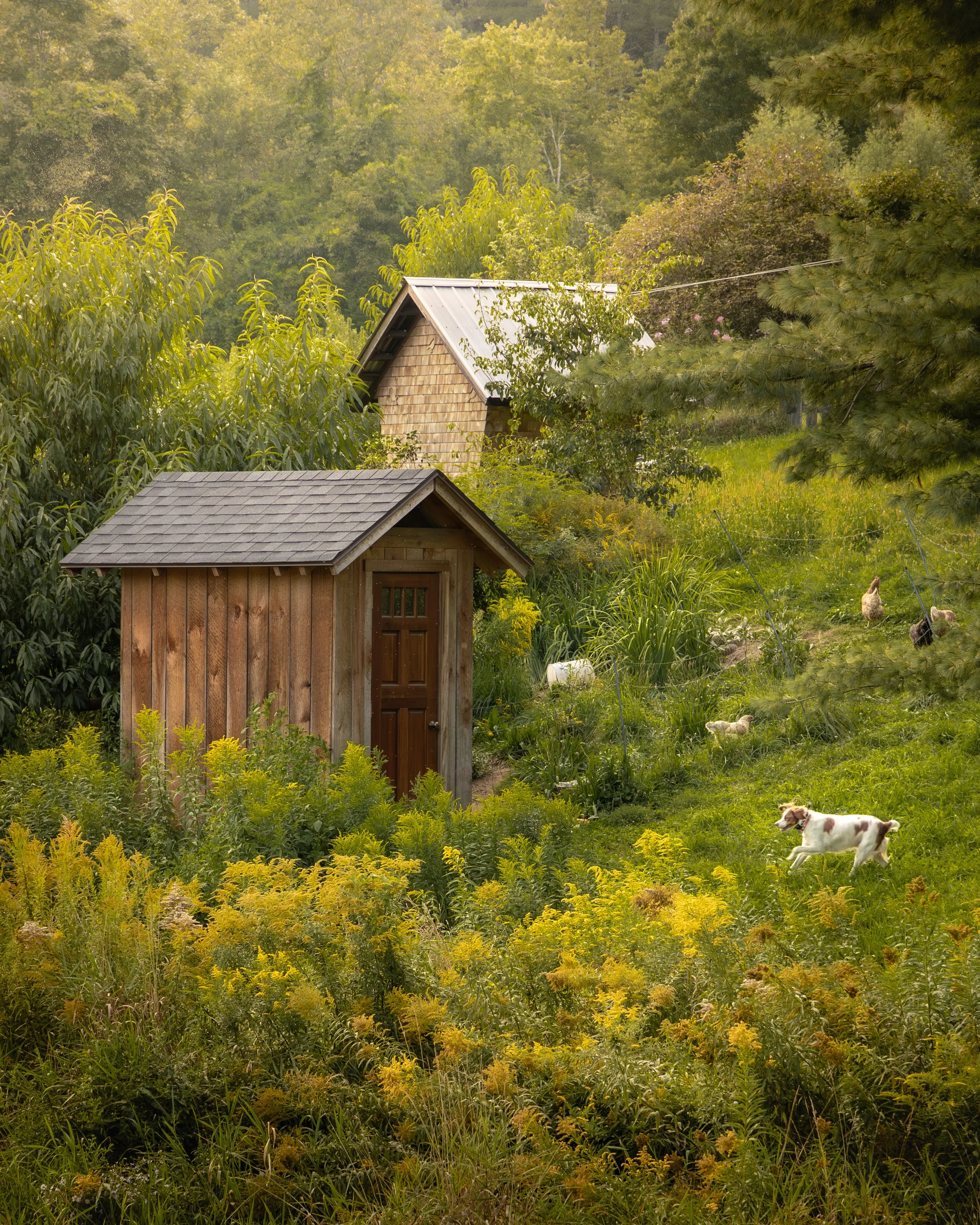 Vermont