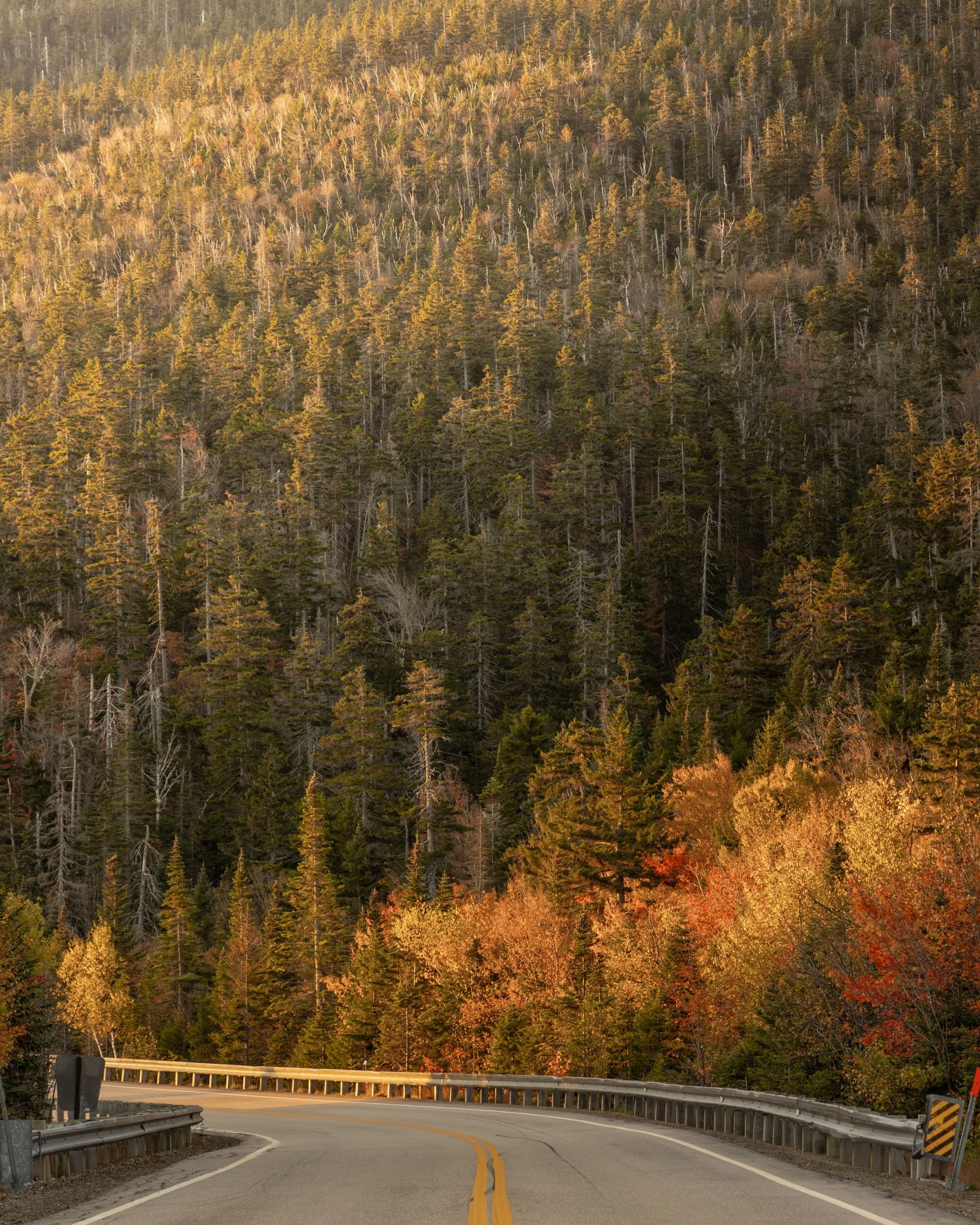 New Hampshire