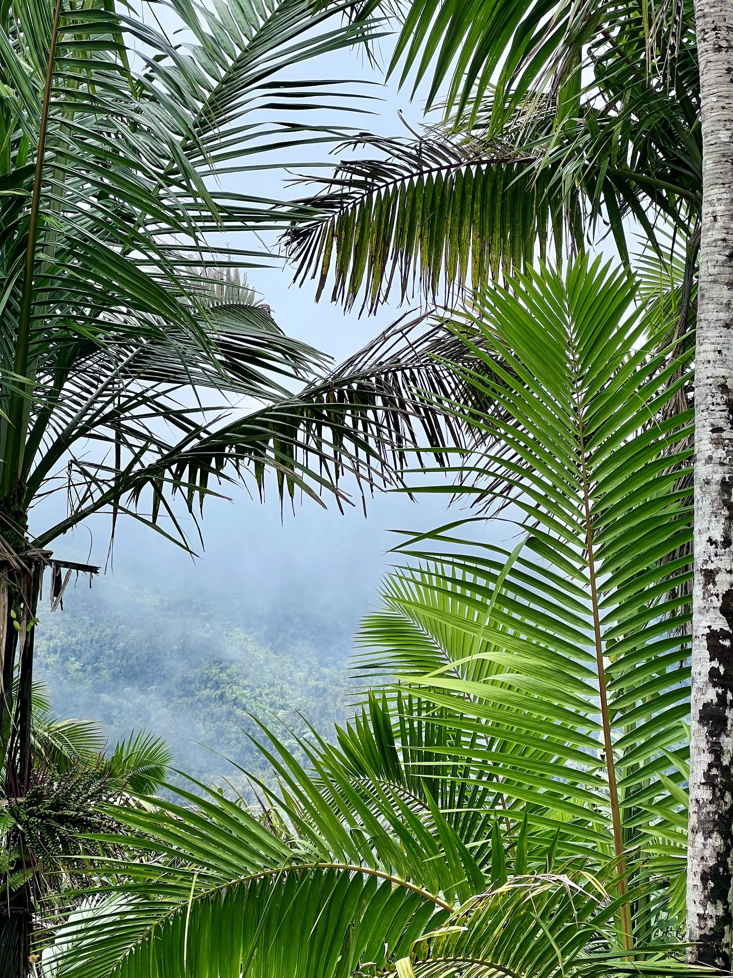 Puerto Rico