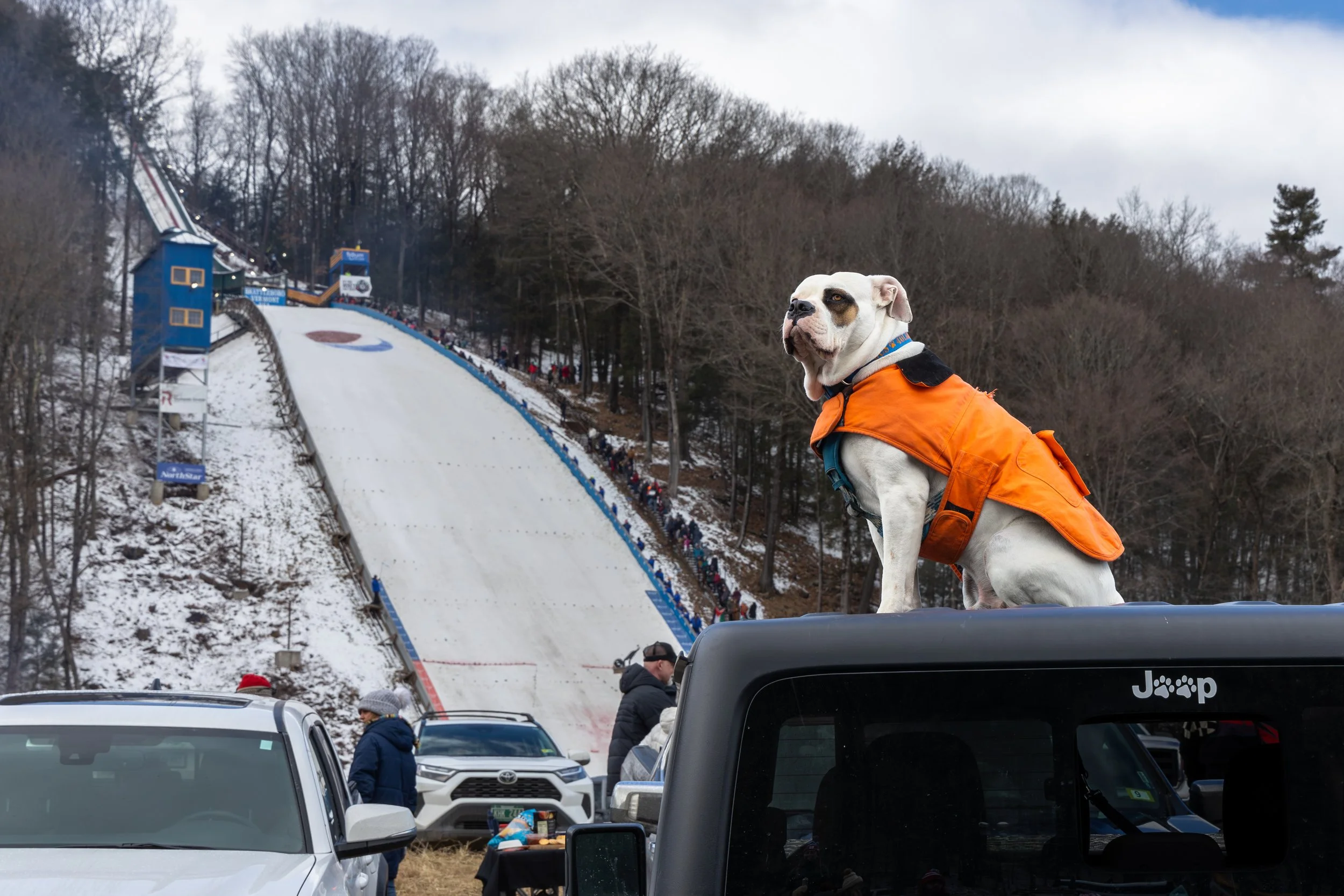 Ski Jump 2024-49.jpg