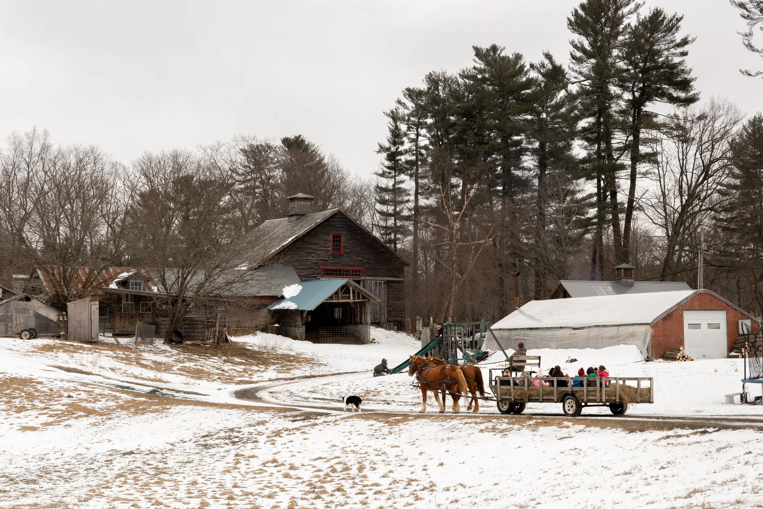 Sleighrides 2024-8.jpg