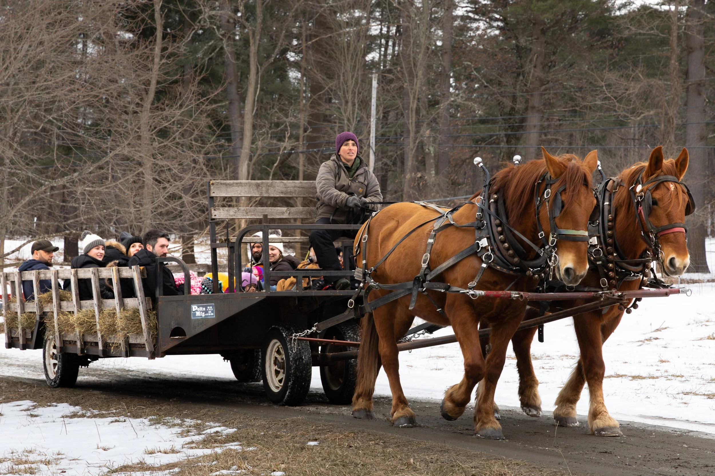 Sleighrides 2024-19.jpg