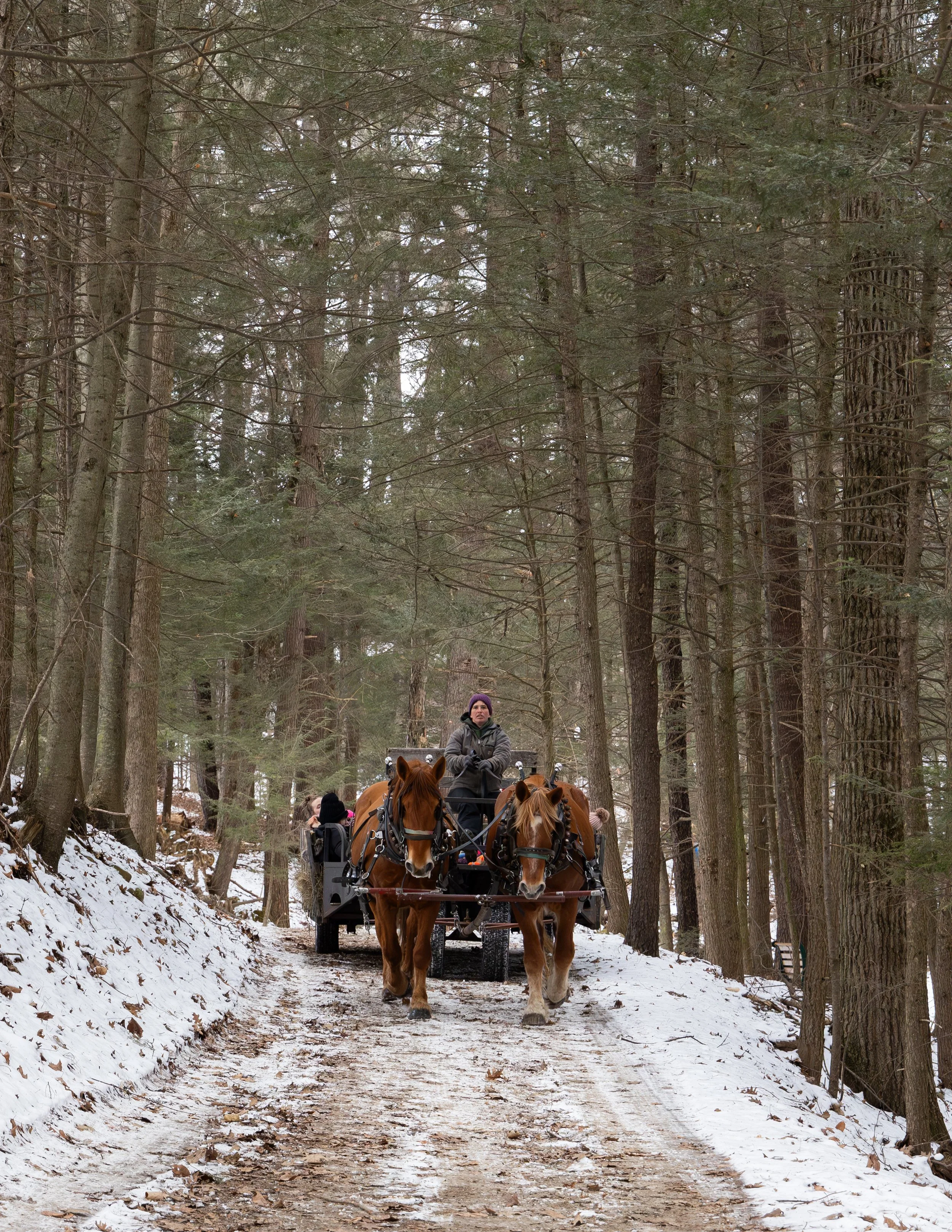Sleighrides 2024-6.jpg
