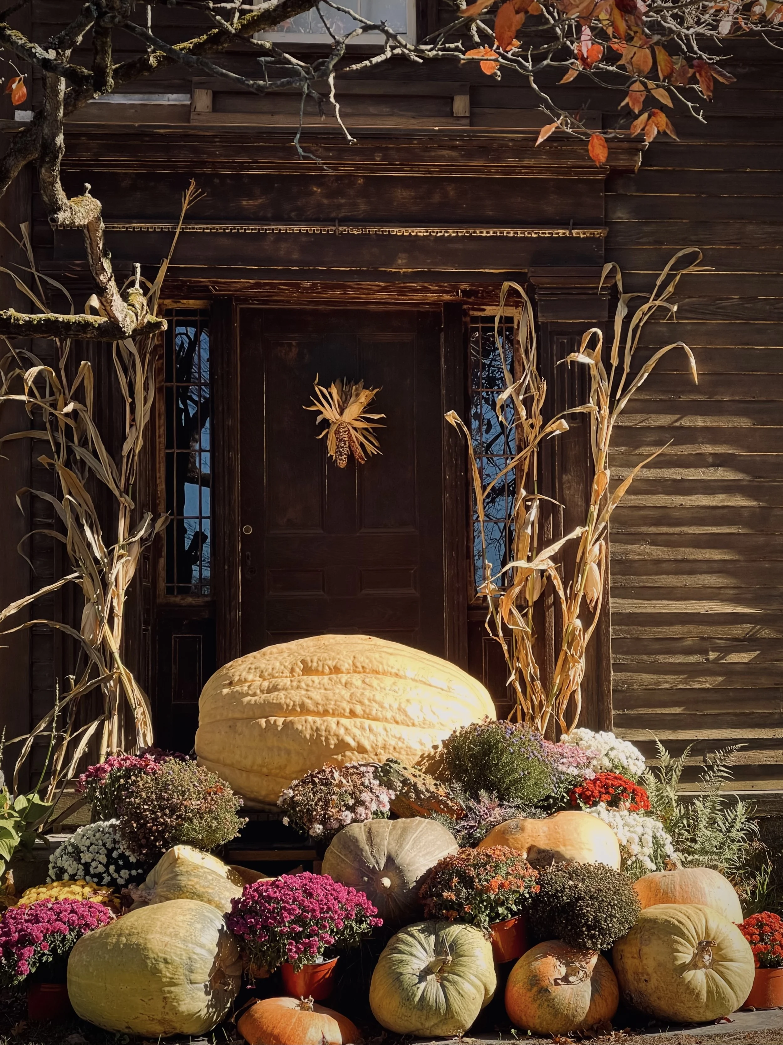 Fall Doorscapes - Historic Deerfield, MA