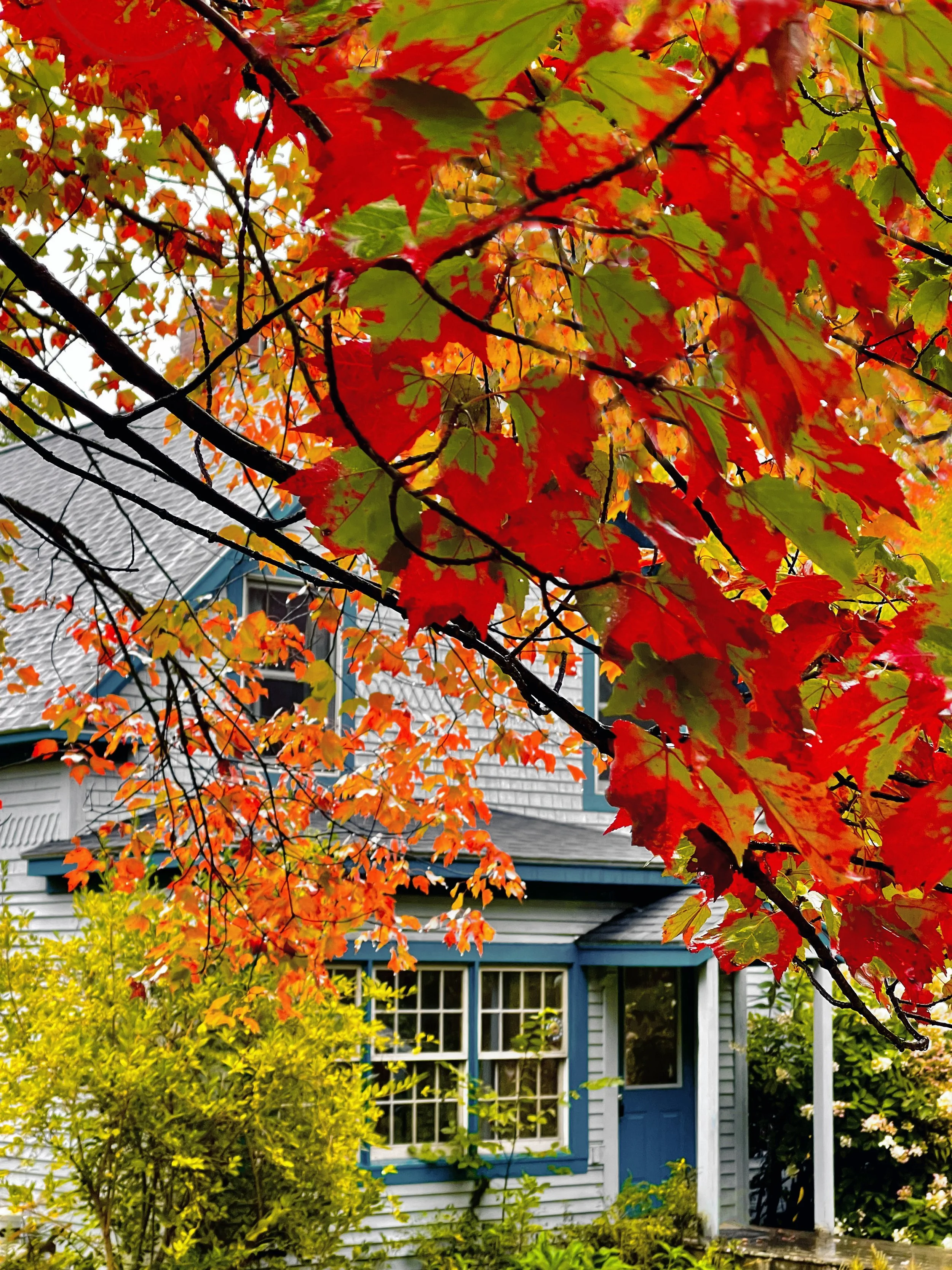 Cabin - VRBO - Wolcott, VT