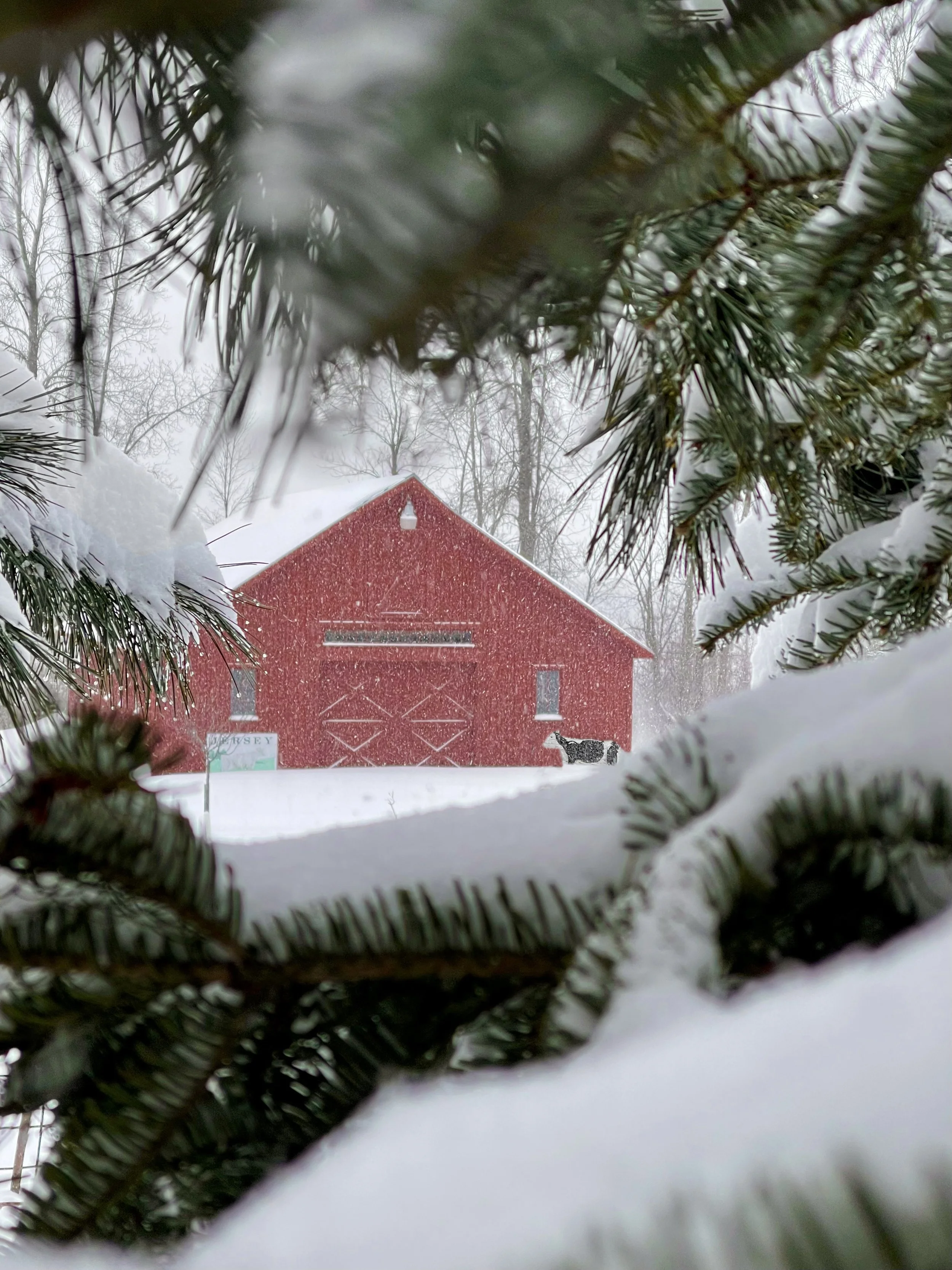 Crows Nest - Airbnb - Middlebury, VT