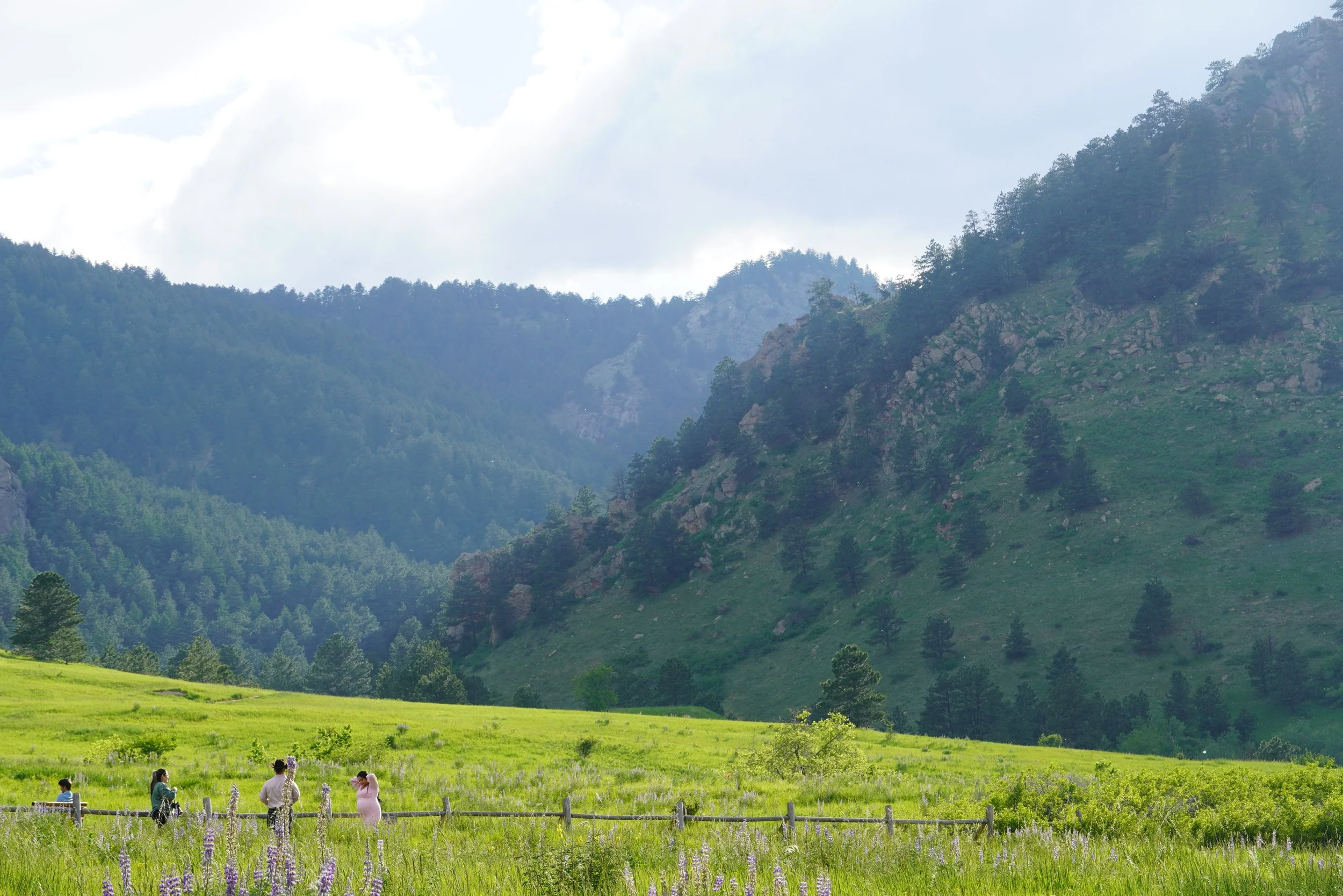 A scenic landscape with lush green fields, a wooden fence, and visitors walking and taking photos. Tall trees and mountain slopes covered in greenery stretch into the distance under a partly cloudy sky.
