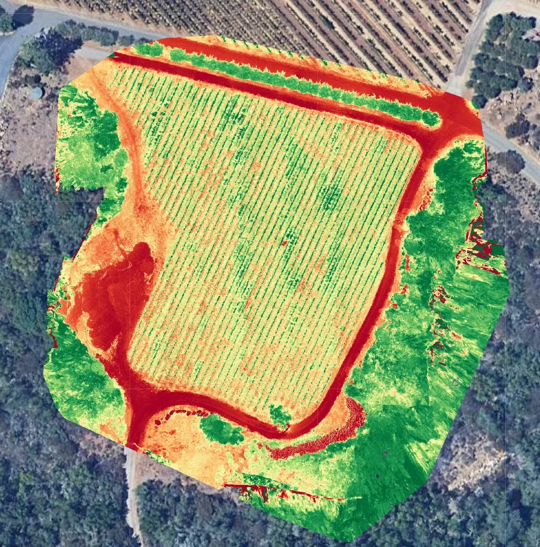 Drone view of a farm with a large cultivated field surrounded by trees and pathways, seen from above.