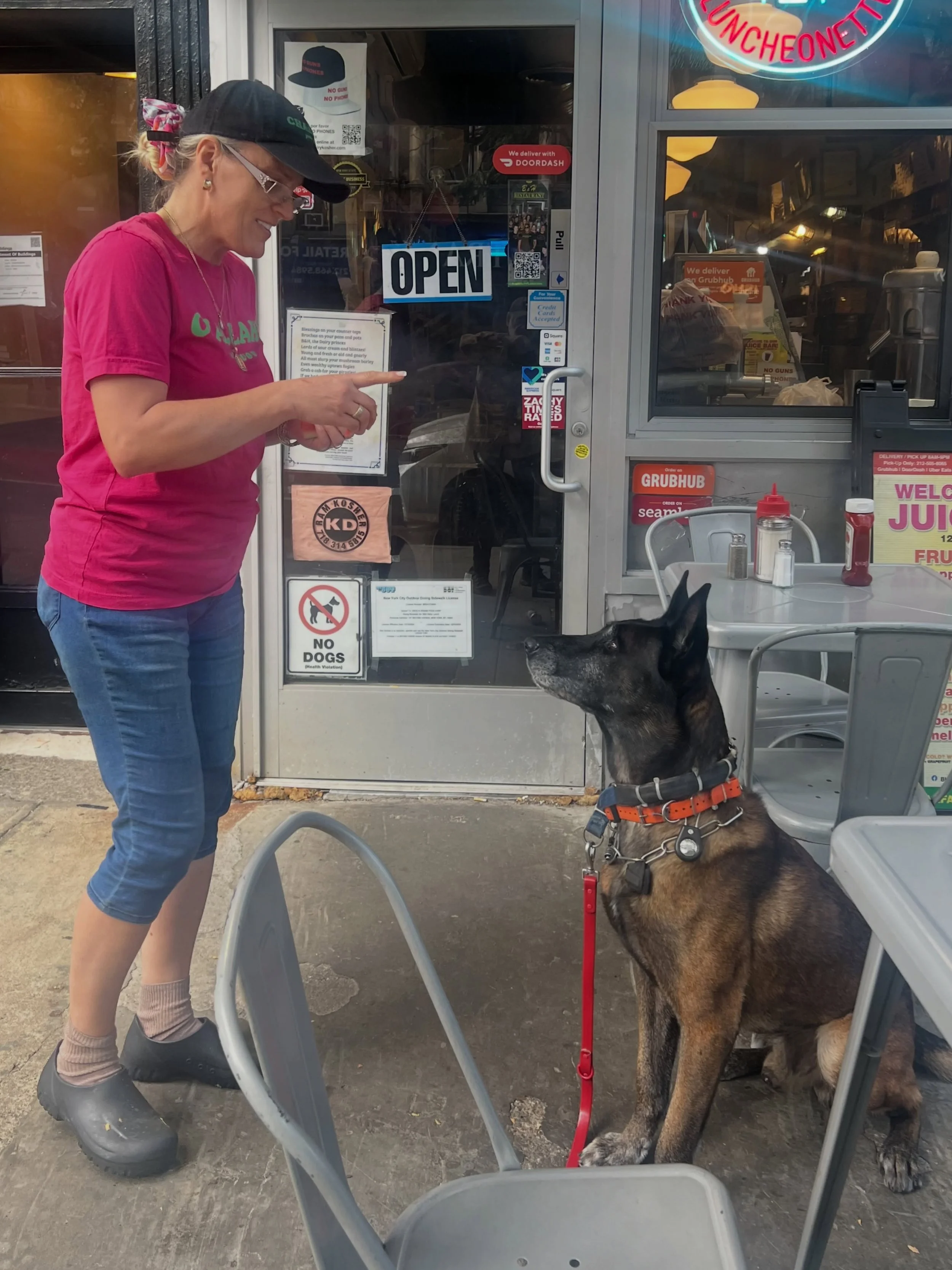 Watermelon for our beautiful neighbor, Quattro!