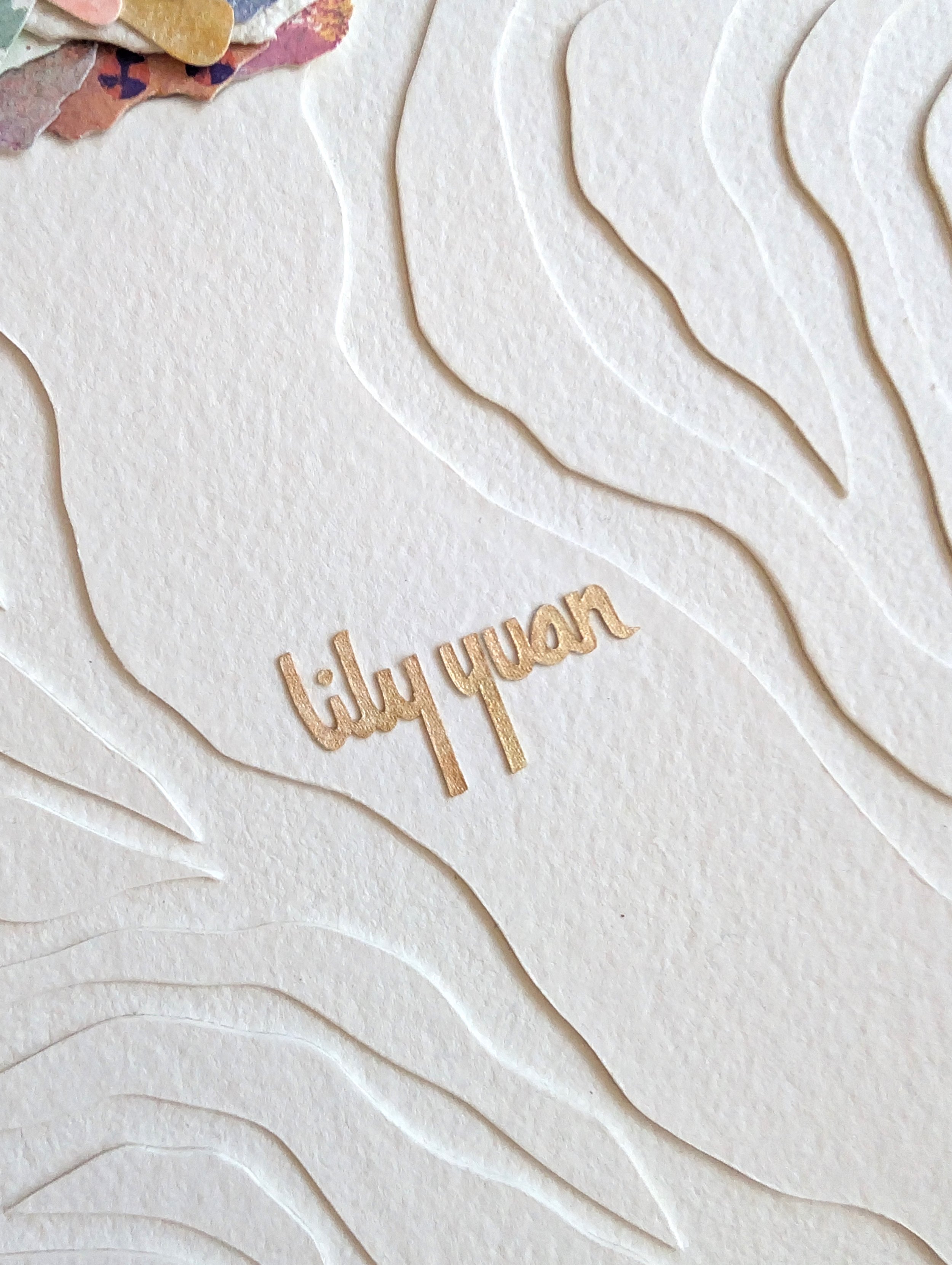 PXL_20260203_173825341 (1).jpg