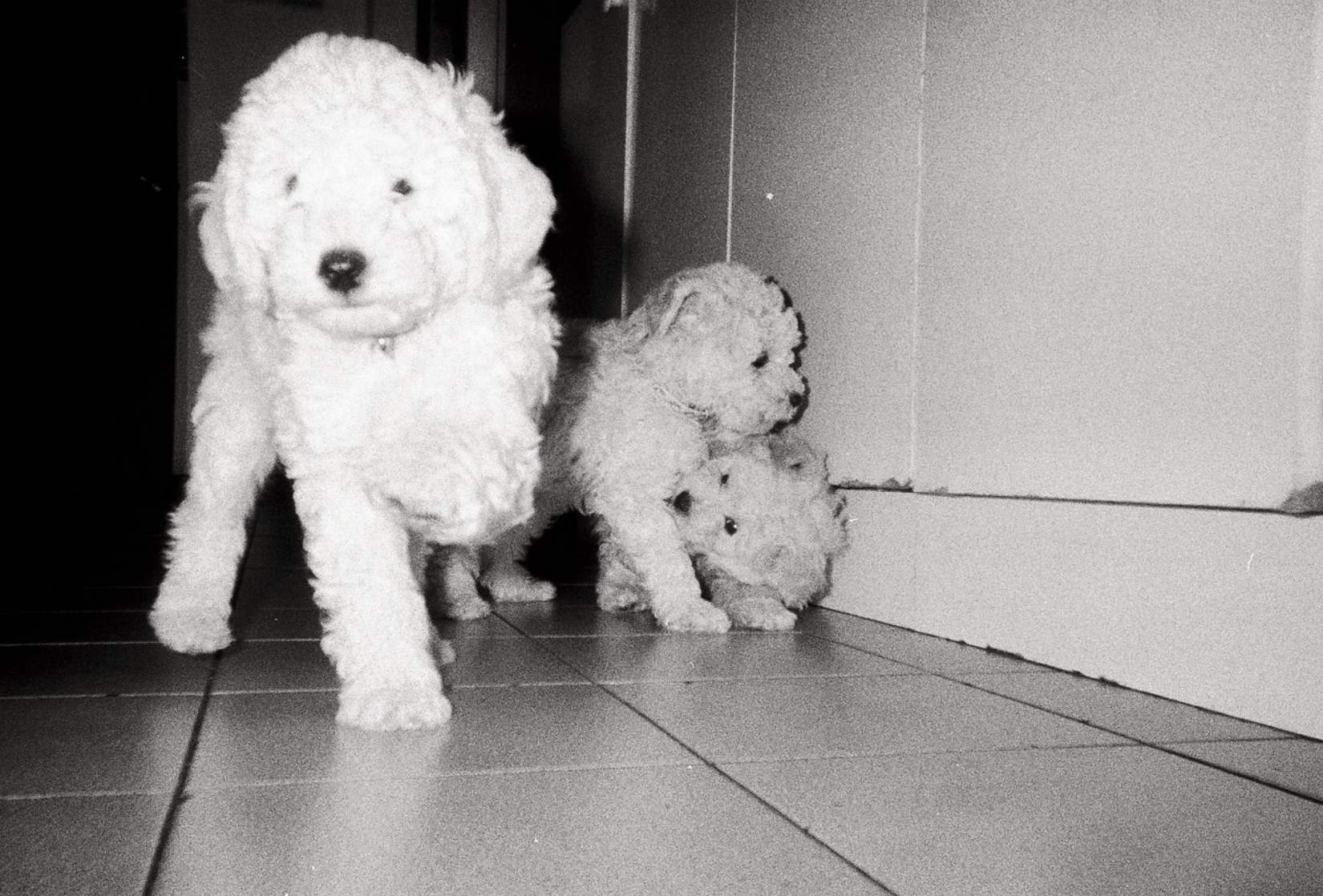 Captura de Pantalla 2026-01-06 a la(s) 18.26.21.png