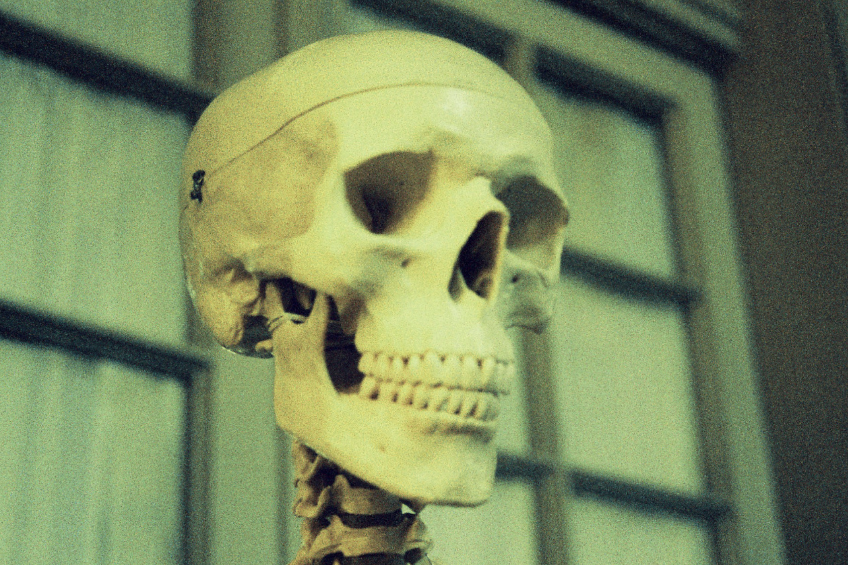 Captura de Pantalla 2026-01-06 a la(s) 18.22.07.png