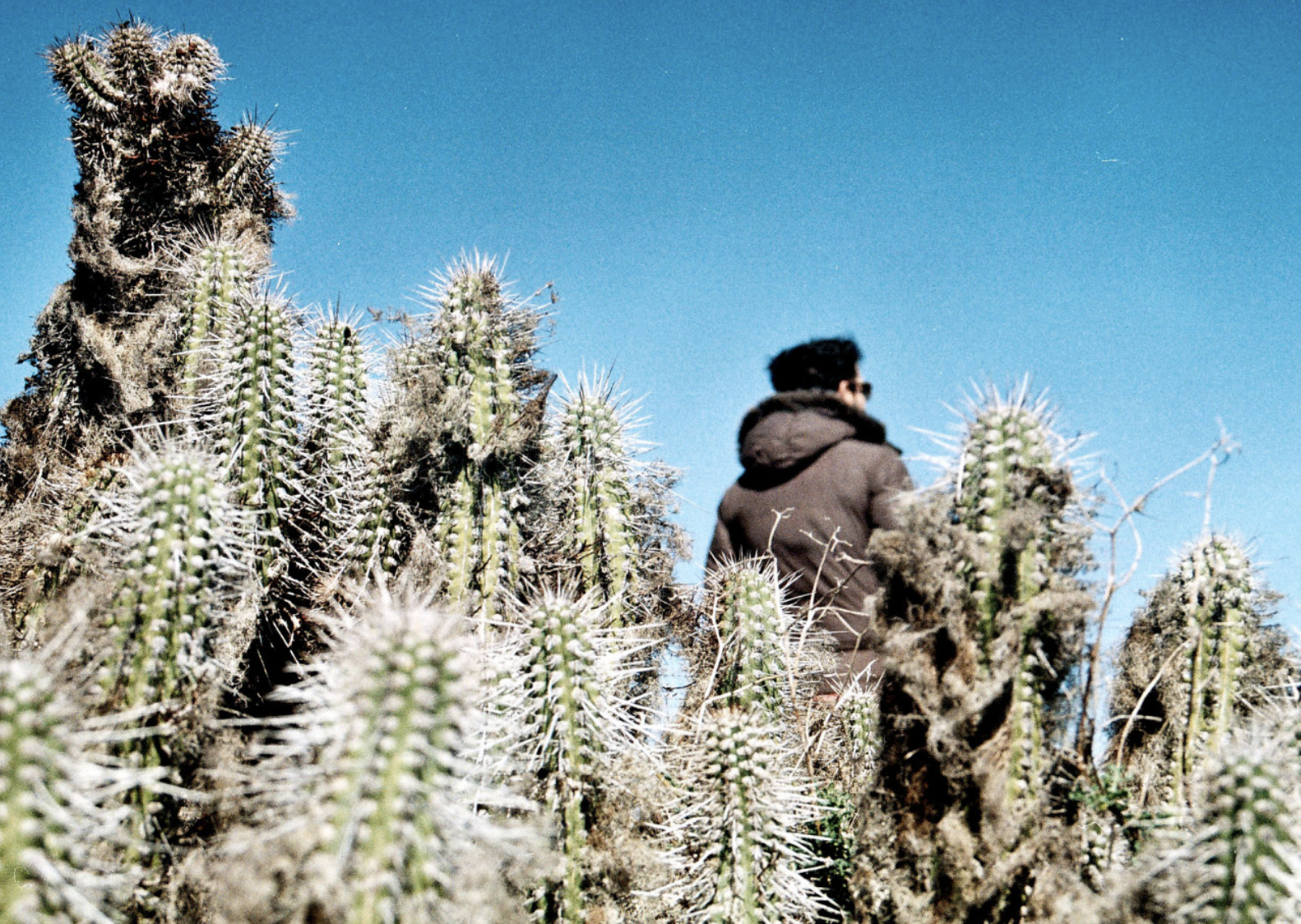 Captura de Pantalla 2026-01-06 a la(s) 18.24.27.png