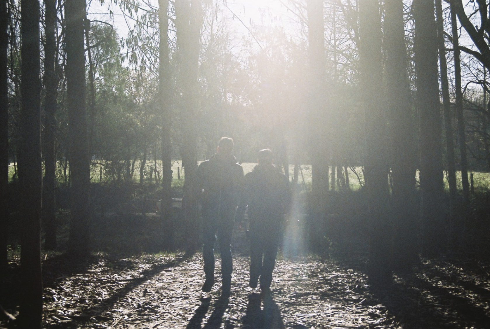 Captura de Pantalla 2026-01-06 a la(s) 18.15.12.png