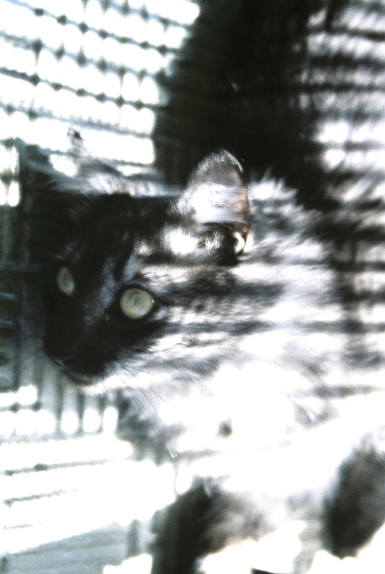 Captura de Pantalla 2026-01-06 a la(s) 18.23.43.png