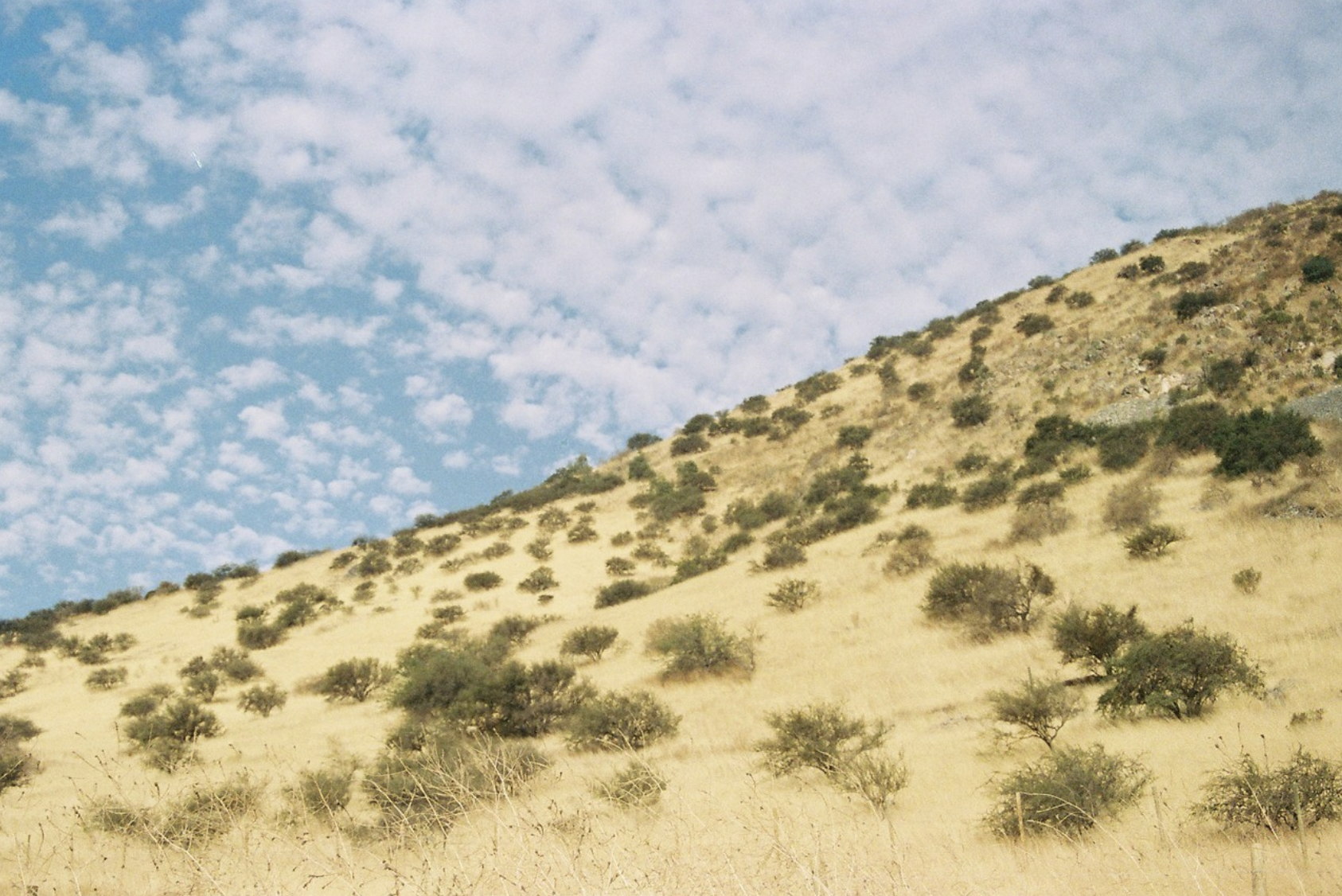 Captura de Pantalla 2026-01-06 a la(s) 18.28.58.png