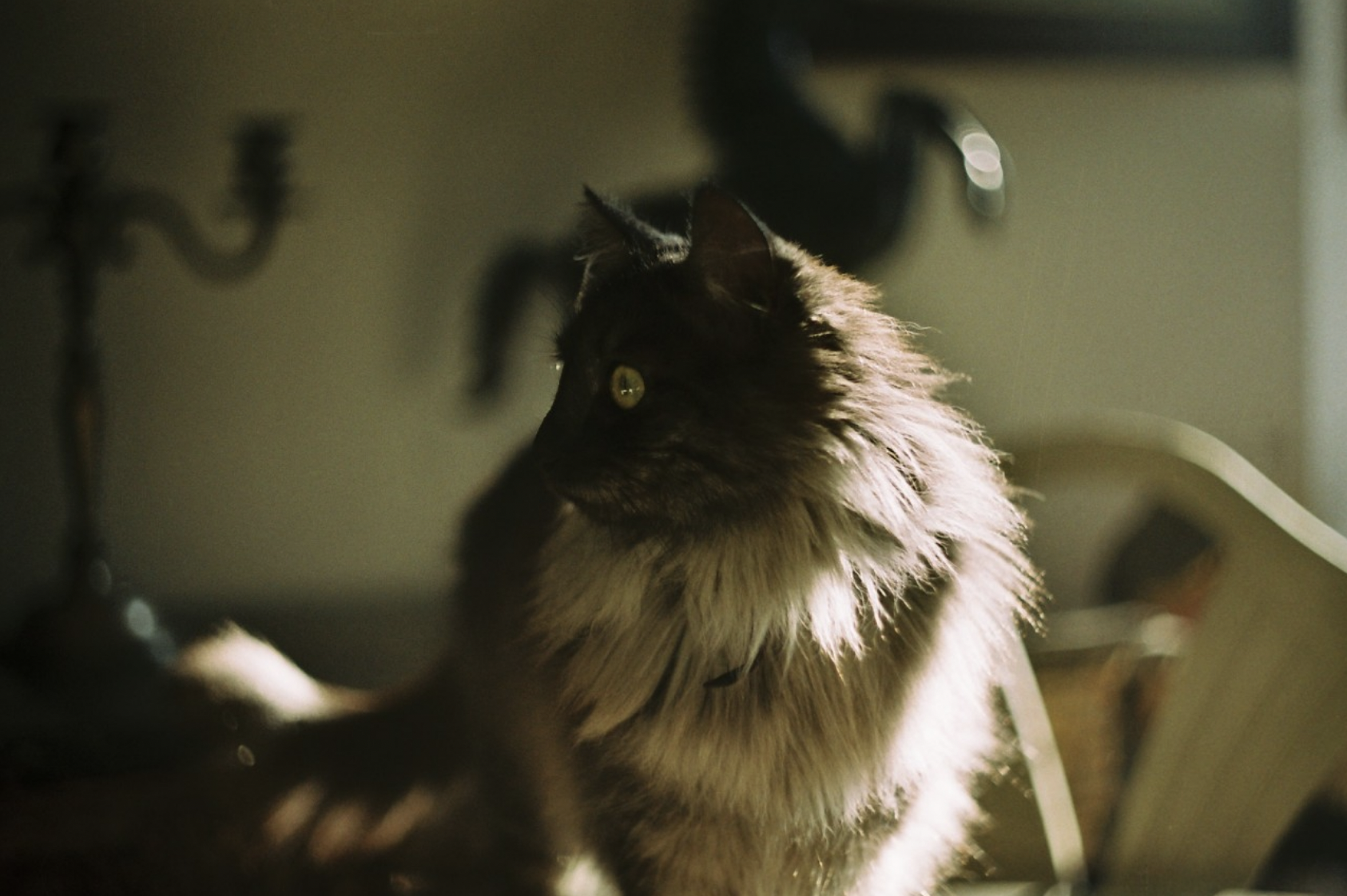 Captura de Pantalla 2026-01-06 a la(s) 18.15.38.png