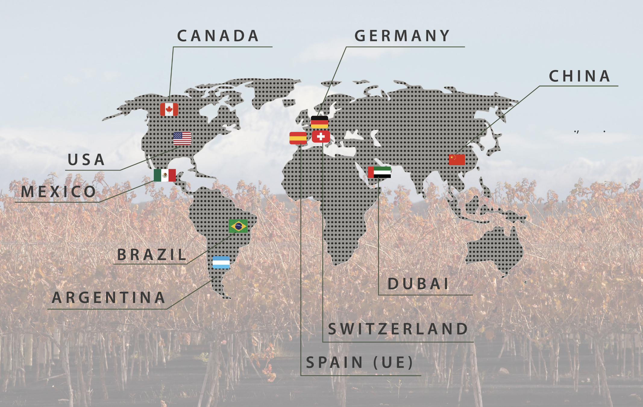 World map illustrating countries with flags, including Canada, Germany, China, USA, Mexico, Brazil, Argentina, Switzerland, Spain (EU), Dubai, and UAE.