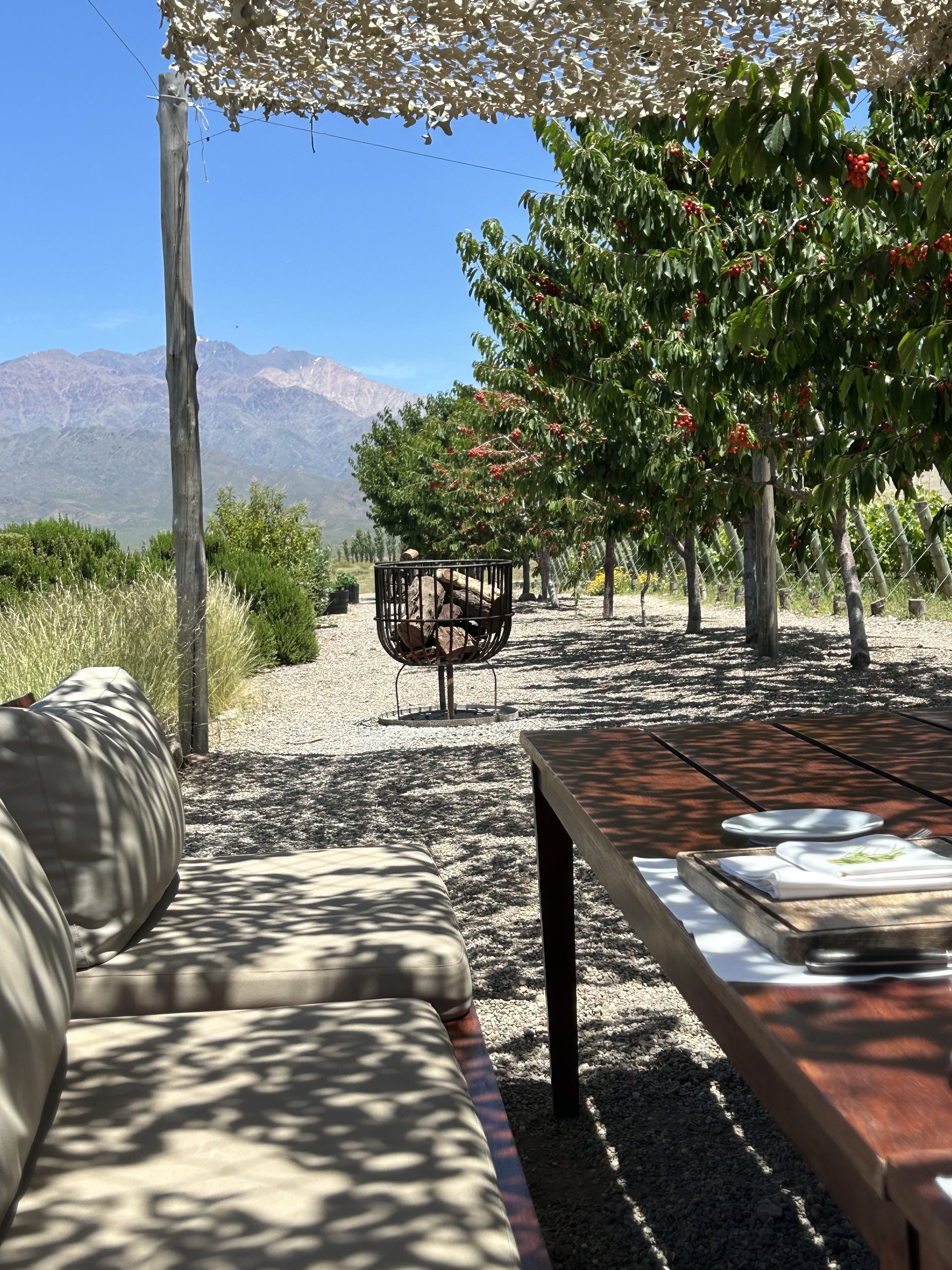 An outdoor seating area with a table set with plates and napkins, surrounded by trees with red berries, overlooking a mountainous landscape under a clear blue sky.